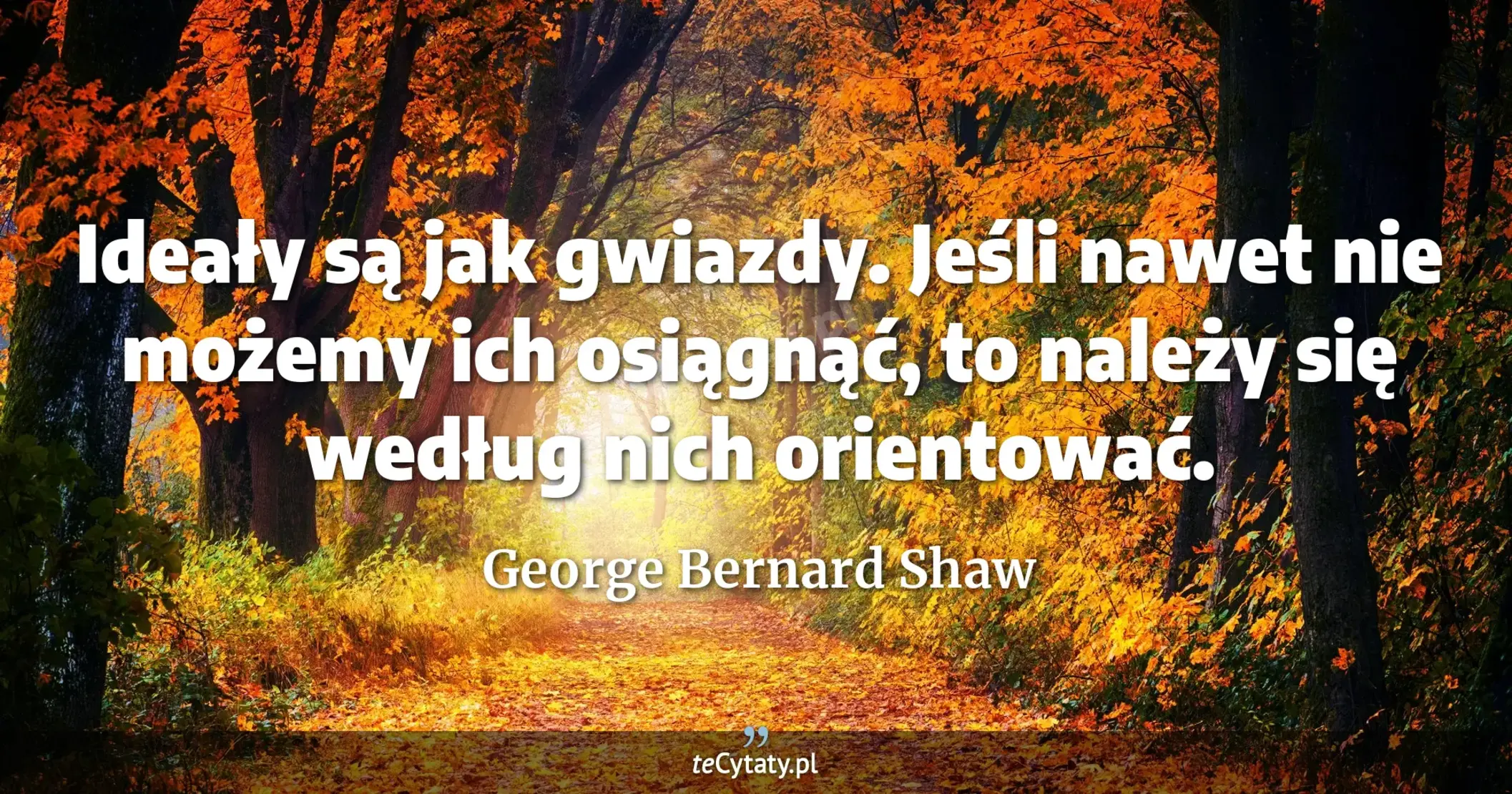 Ideały są jak gwiazdy. Jeśli nawet nie możemy ich osiągnąć, to należy się według nich orientować. - George Bernard Shaw