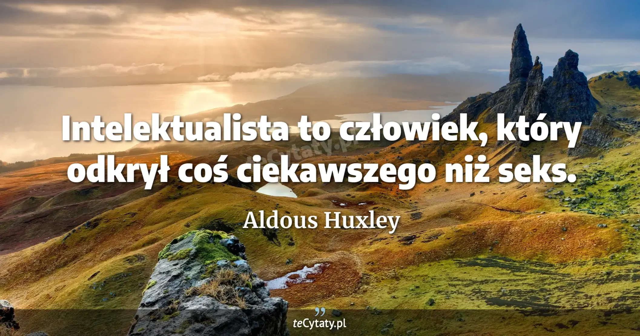 Intelektualista to człowiek, który odkrył coś ciekawszego niż seks. - Aldous Huxley