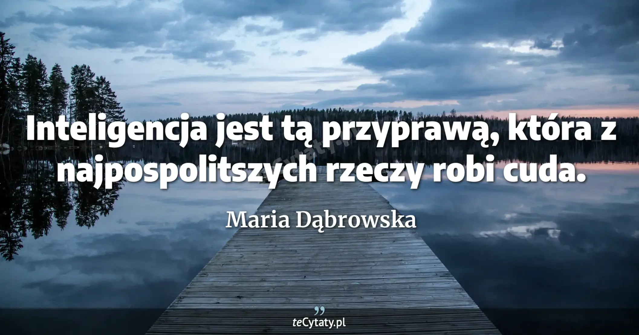 Inteligencja jest tą przyprawą, która z najpospolitszych rzeczy robi cuda. - Maria Dąbrowska