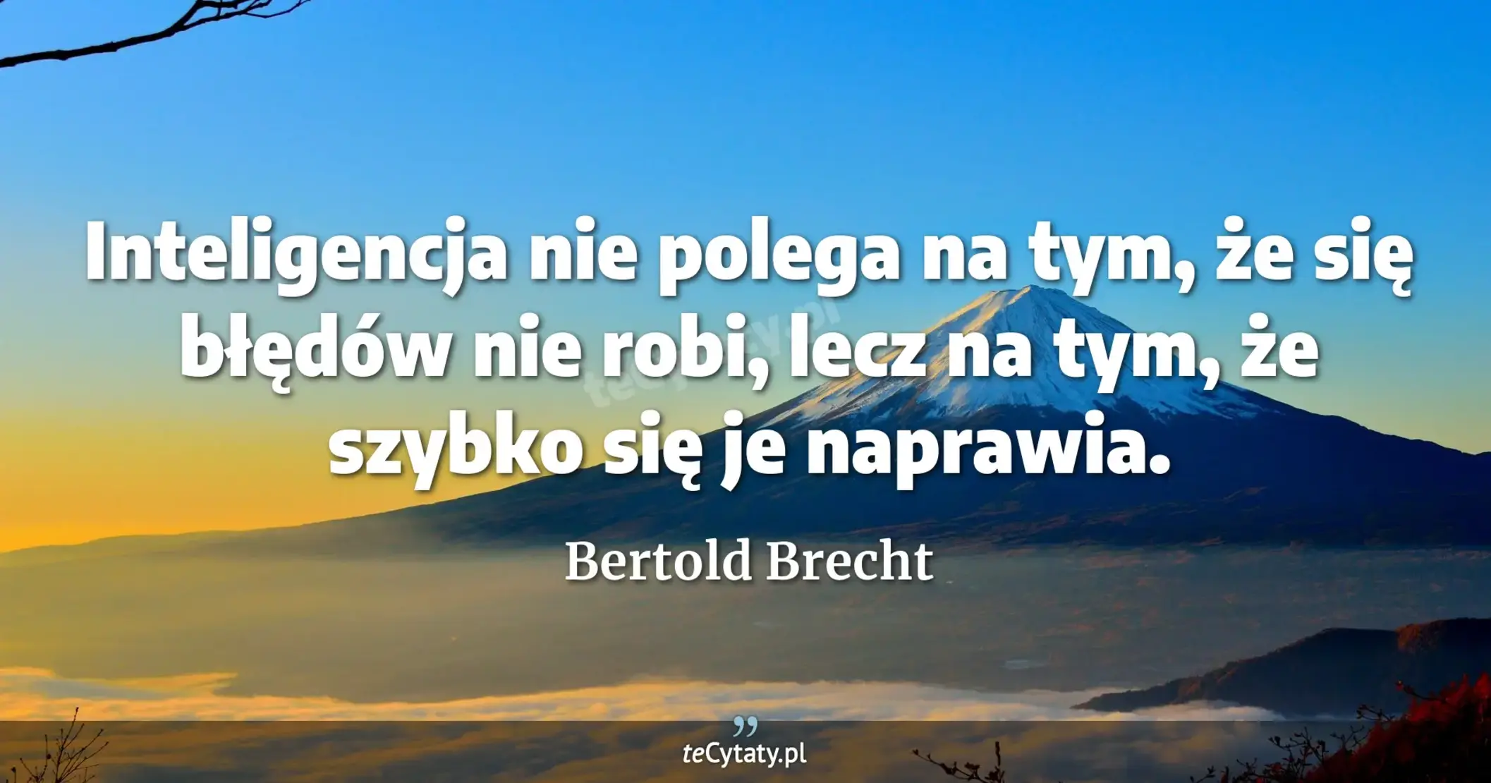 Inteligencja nie polega na tym, że się błędów nie robi, lecz na tym, że szybko się je naprawia. - Bertold Brecht