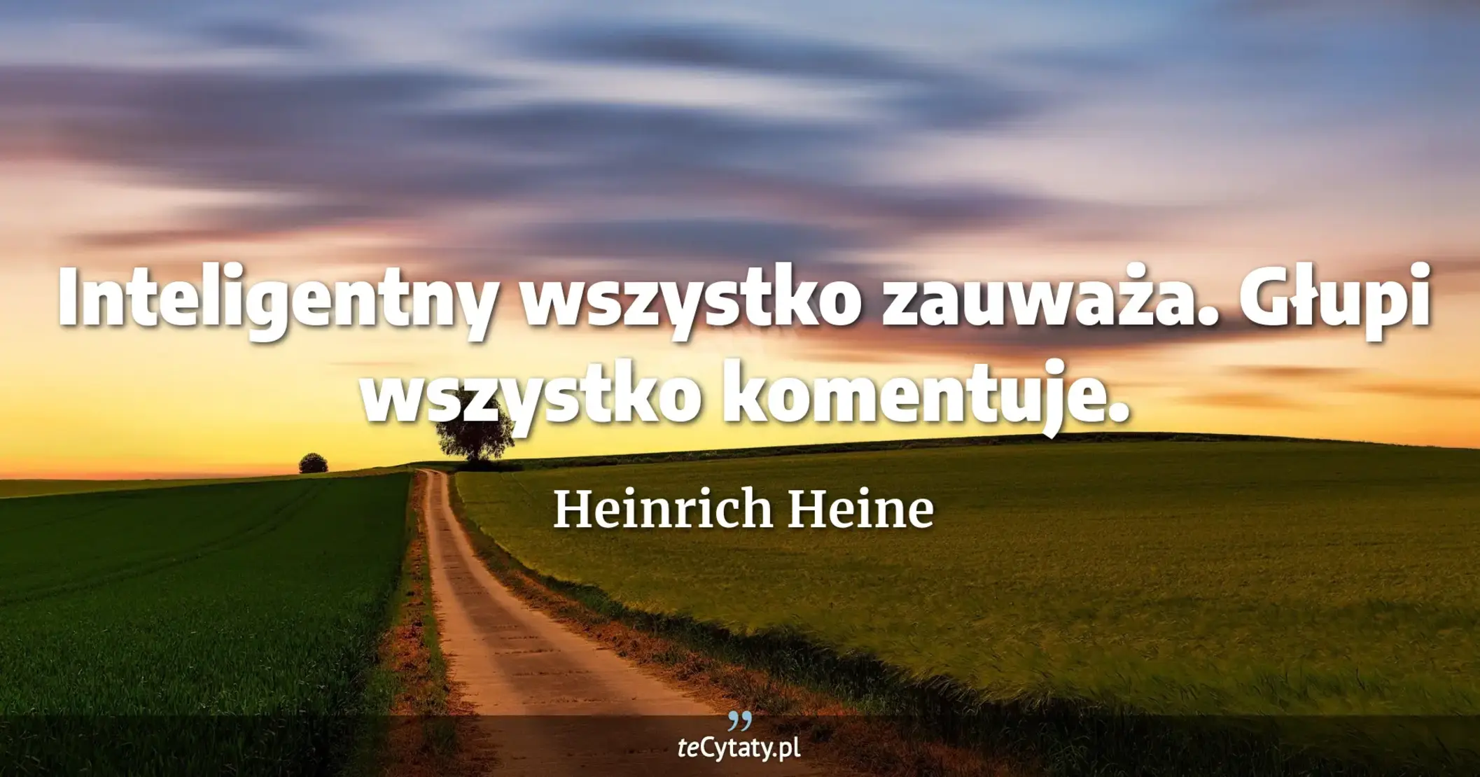 Inteligentny wszystko zauważa. Głupi wszystko komentuje. - Heinrich Heine