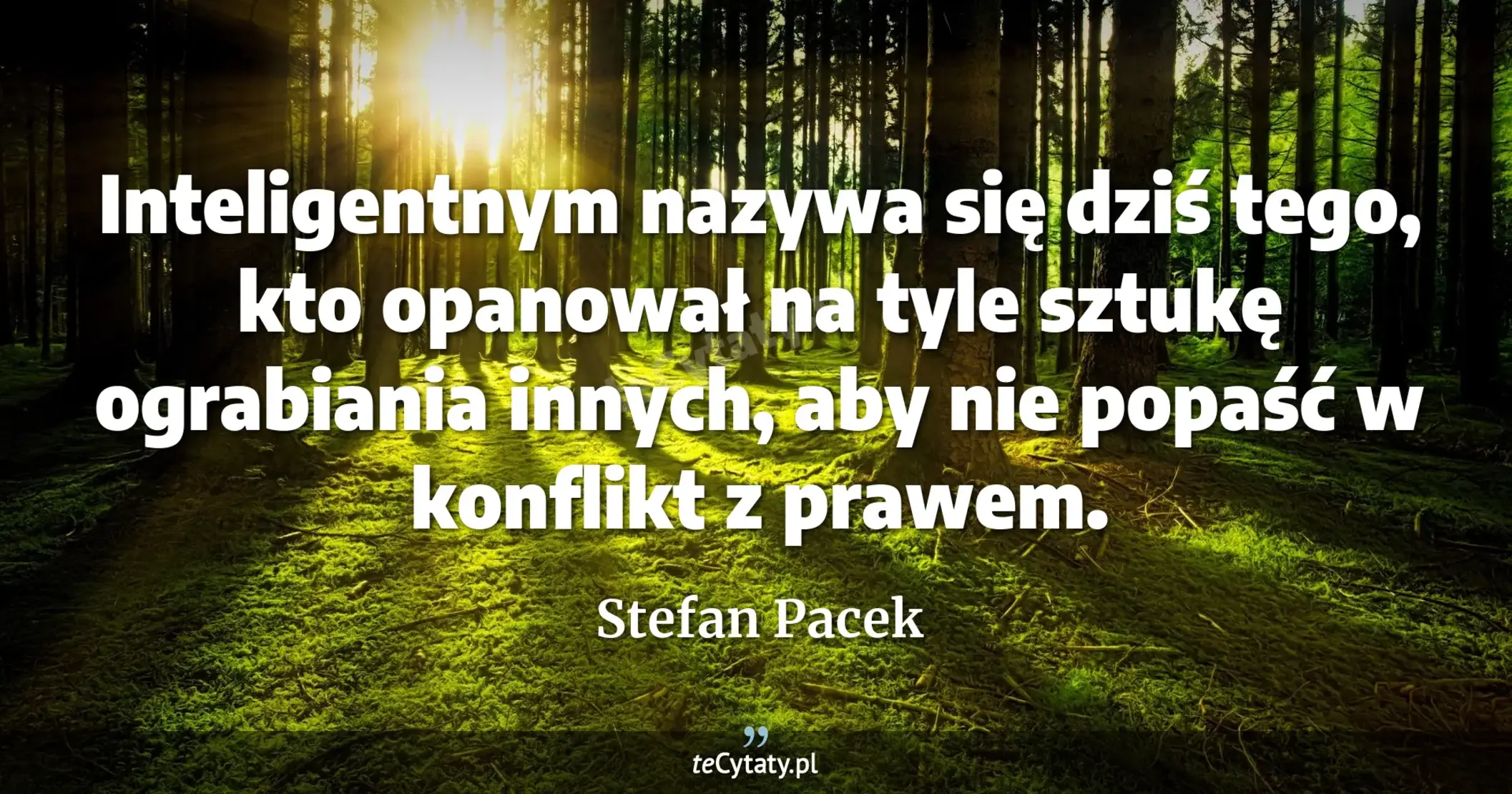 Inteligentnym nazywa się dziś tego, kto opanował na tyle sztukę ograbiania innych, aby nie popaść w konflikt z prawem. - Stefan Pacek