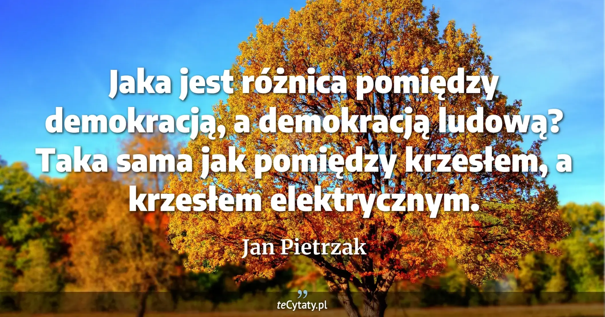 Jaka jest różnica pomiędzy demokracją, a demokracją ludową? Taka sama jak pomiędzy krzesłem, a krzesłem elektrycznym. - Jan Pietrzak