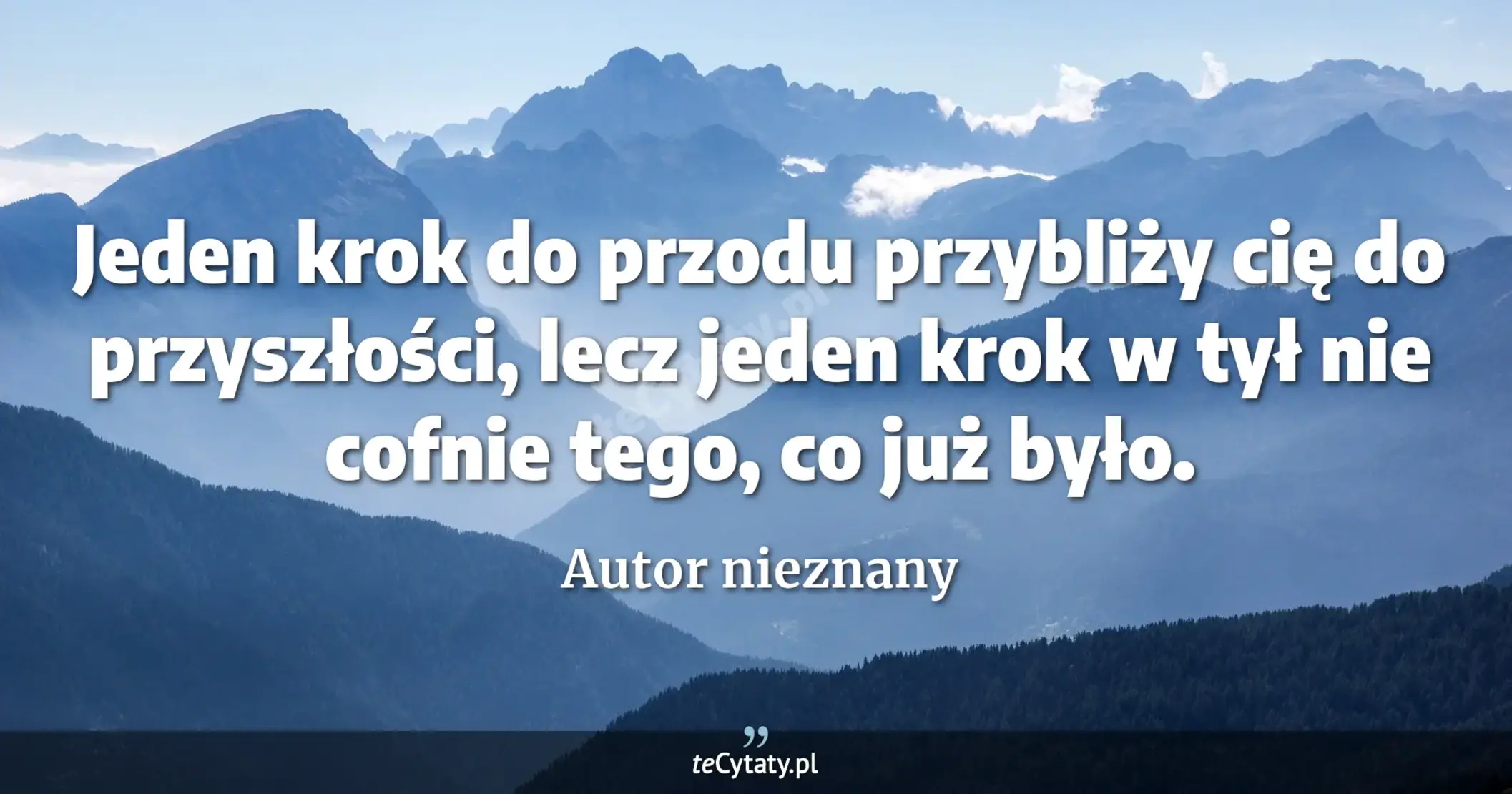 Jeden krok do przodu przybliży cię do przyszłości, lecz jeden krok w tył nie cofnie tego, co już było. - Autor nieznany