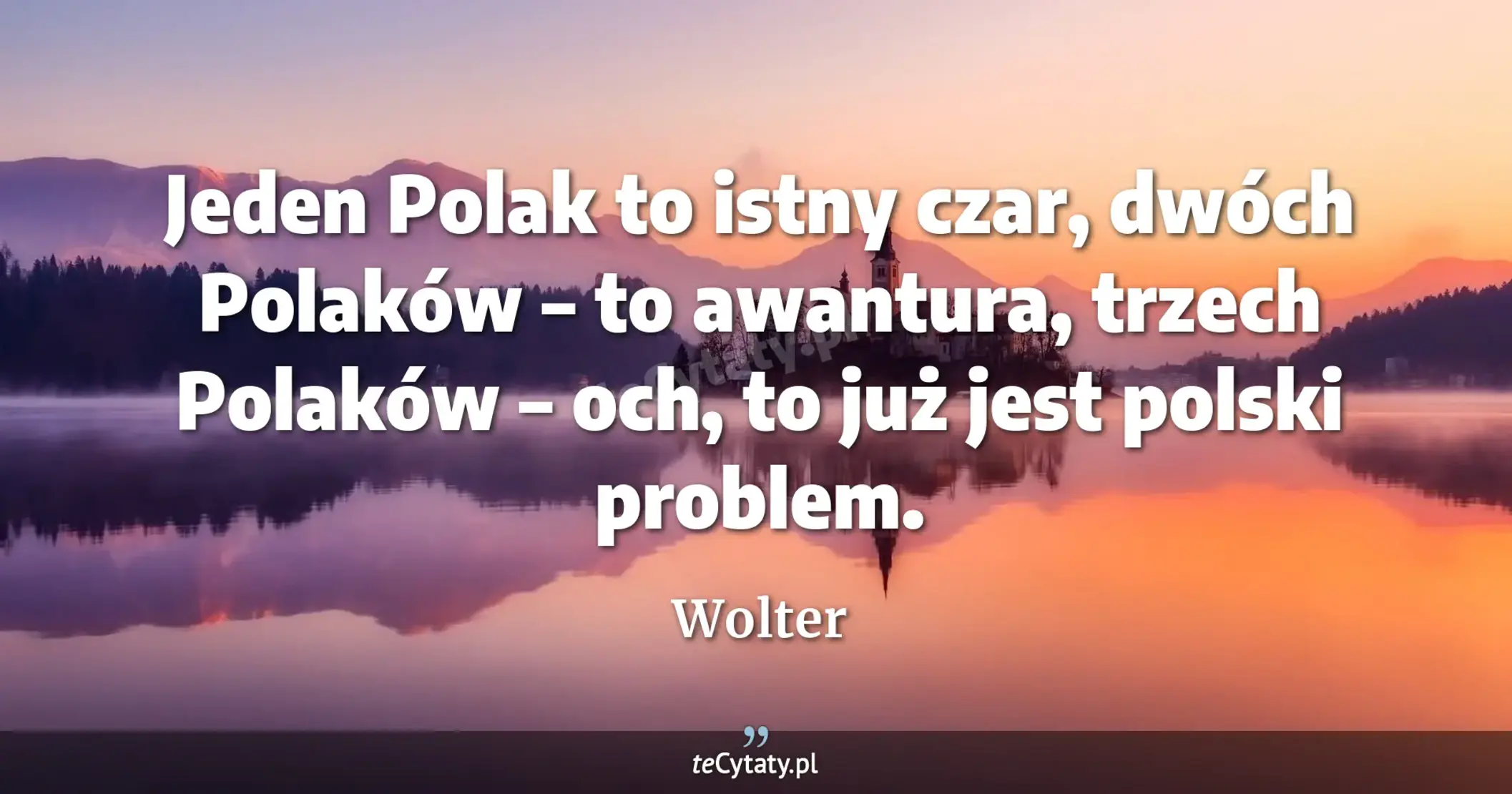 Jeden Polak to istny czar, dwóch Polaków – to awantura, trzech Polaków – och, to już jest polski problem. - Wolter