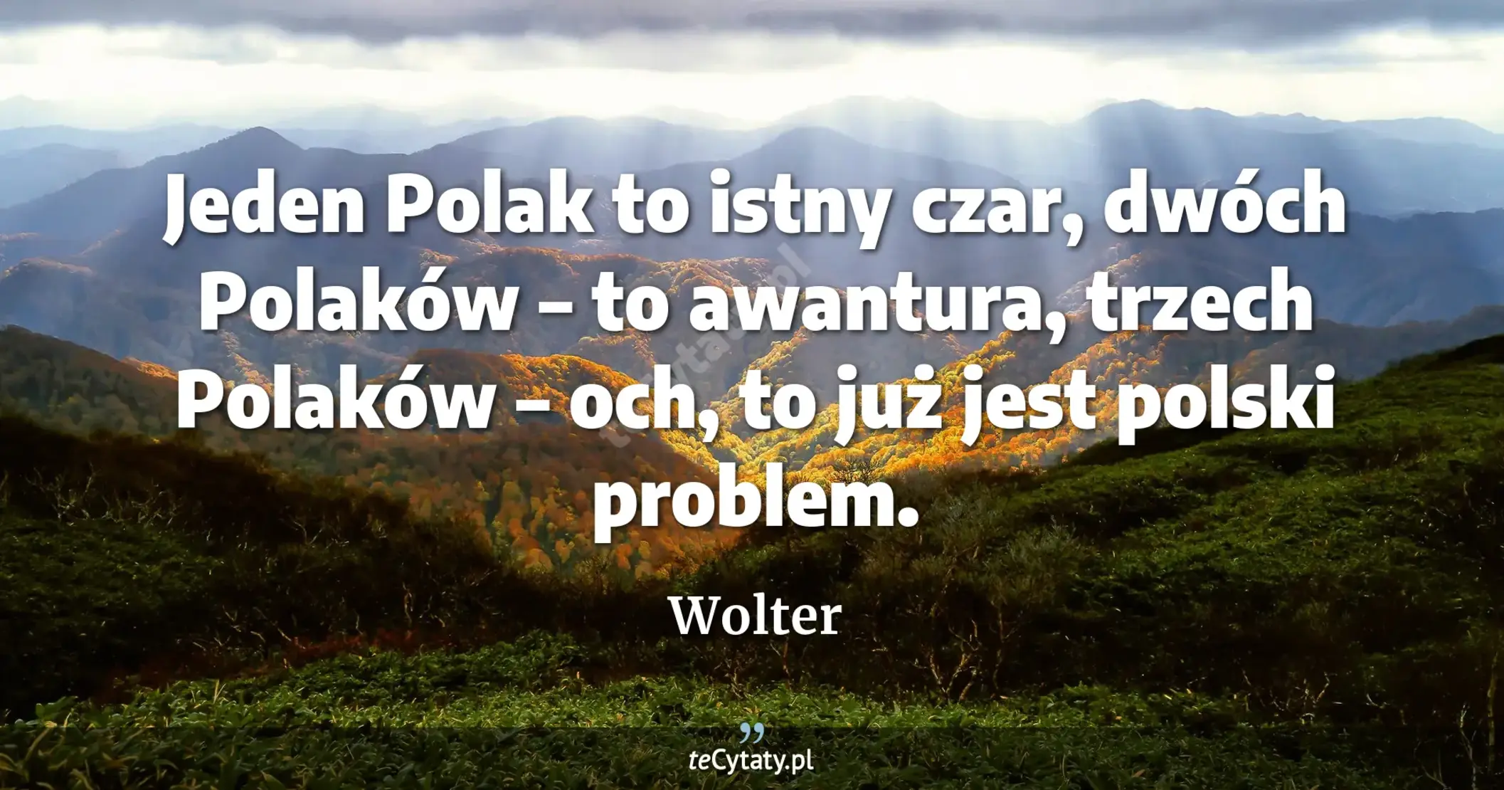 Jeden Polak to istny czar, dwóch Polaków – to awantura, trzech Polaków – och, to już jest polski problem. - Wolter
