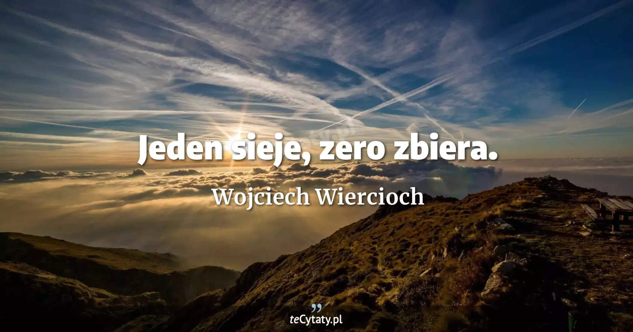 Jeden sieje, zero zbiera. - Wojciech Wiercioch