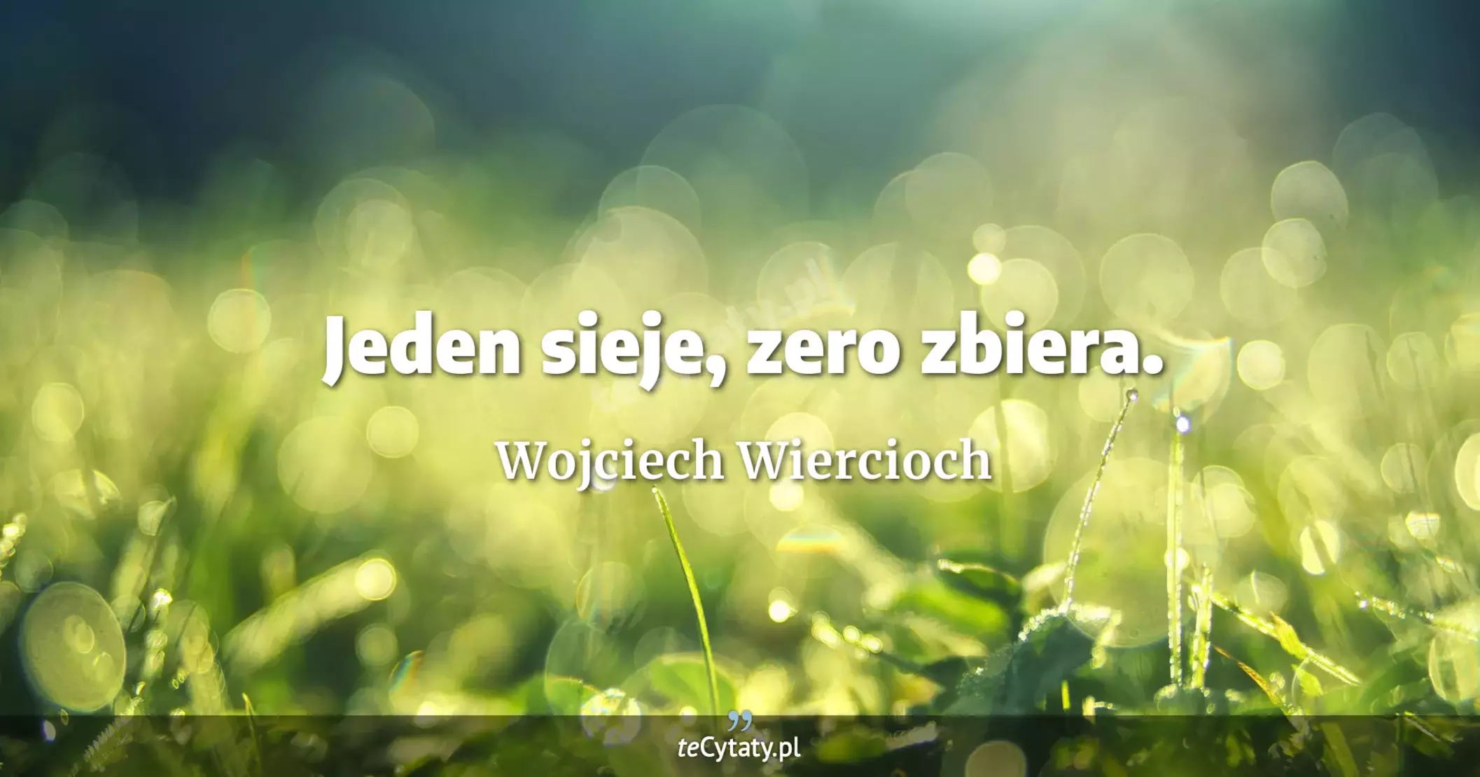 Jeden sieje, zero zbiera. - Wojciech Wiercioch