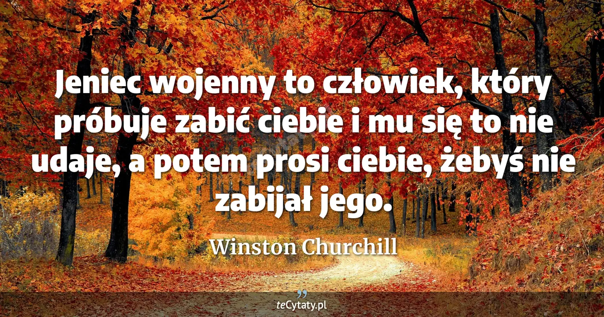 Jeniec wojenny to człowiek, który próbuje zabić ciebie i mu się to nie udaje, a potem prosi ciebie, żebyś nie zabijał jego. - Winston Churchill