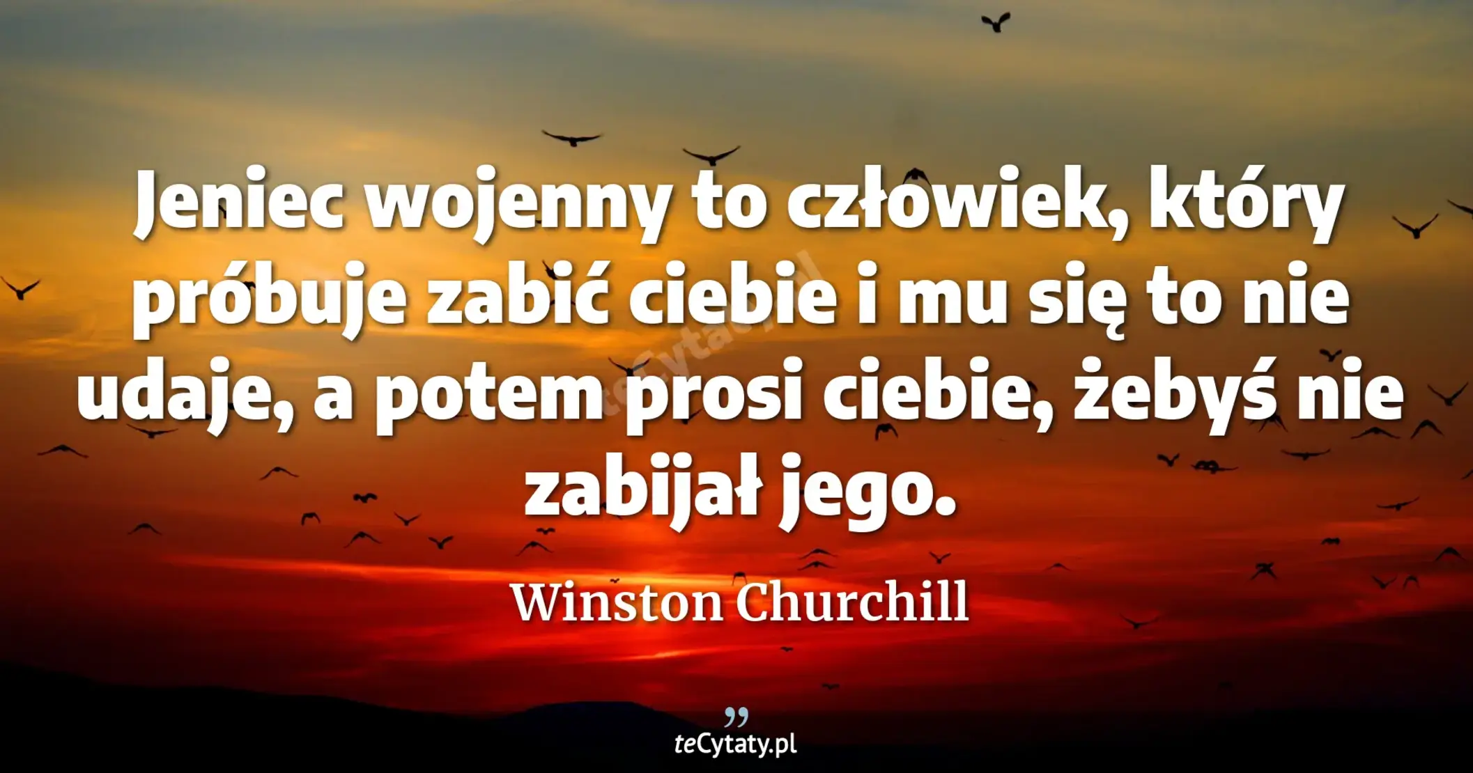 Jeniec wojenny to człowiek, który próbuje zabić ciebie i mu się to nie udaje, a potem prosi ciebie, żebyś nie zabijał jego. - Winston Churchill