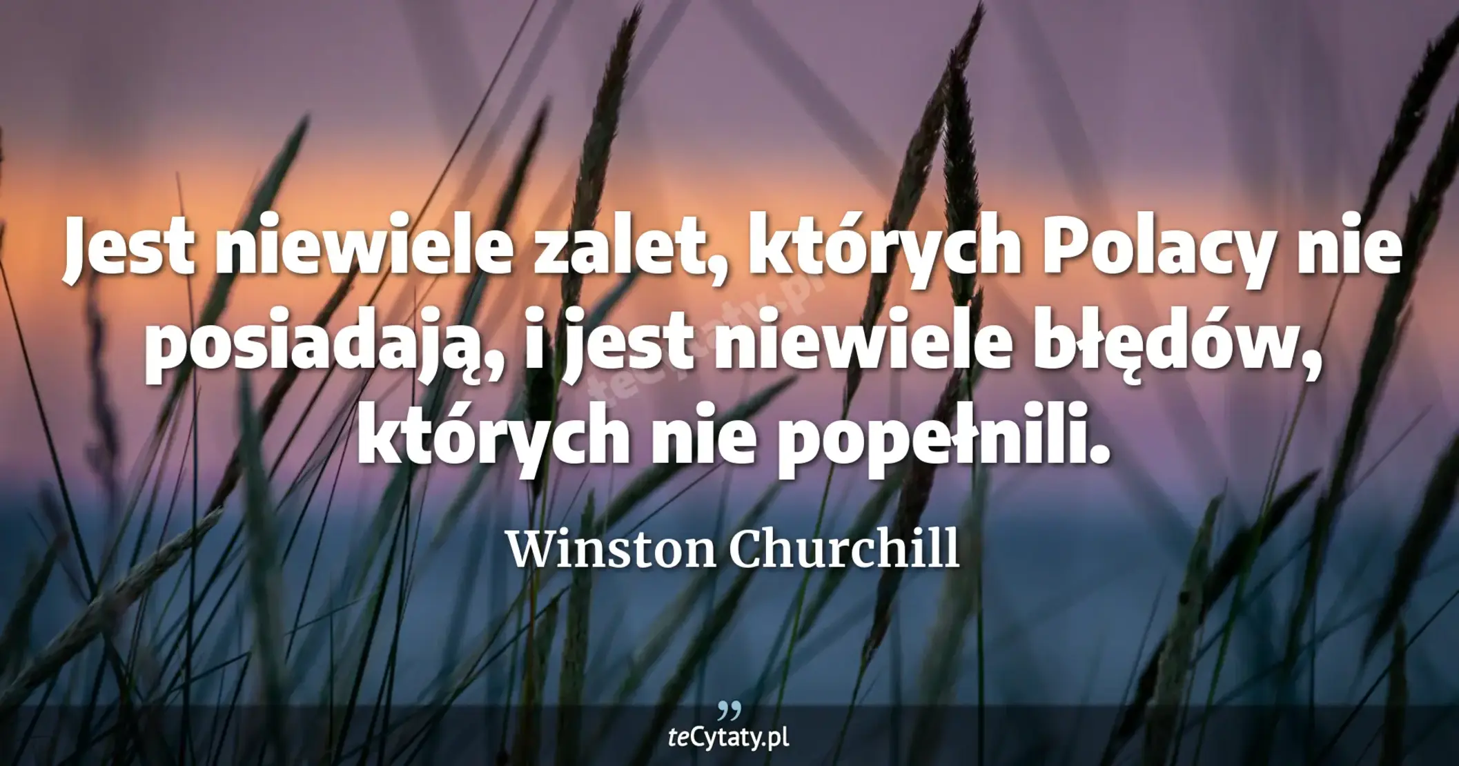 Jest niewiele zalet, których Polacy nie posiadają, i jest niewiele błędów, których nie popełnili. - Winston Churchill