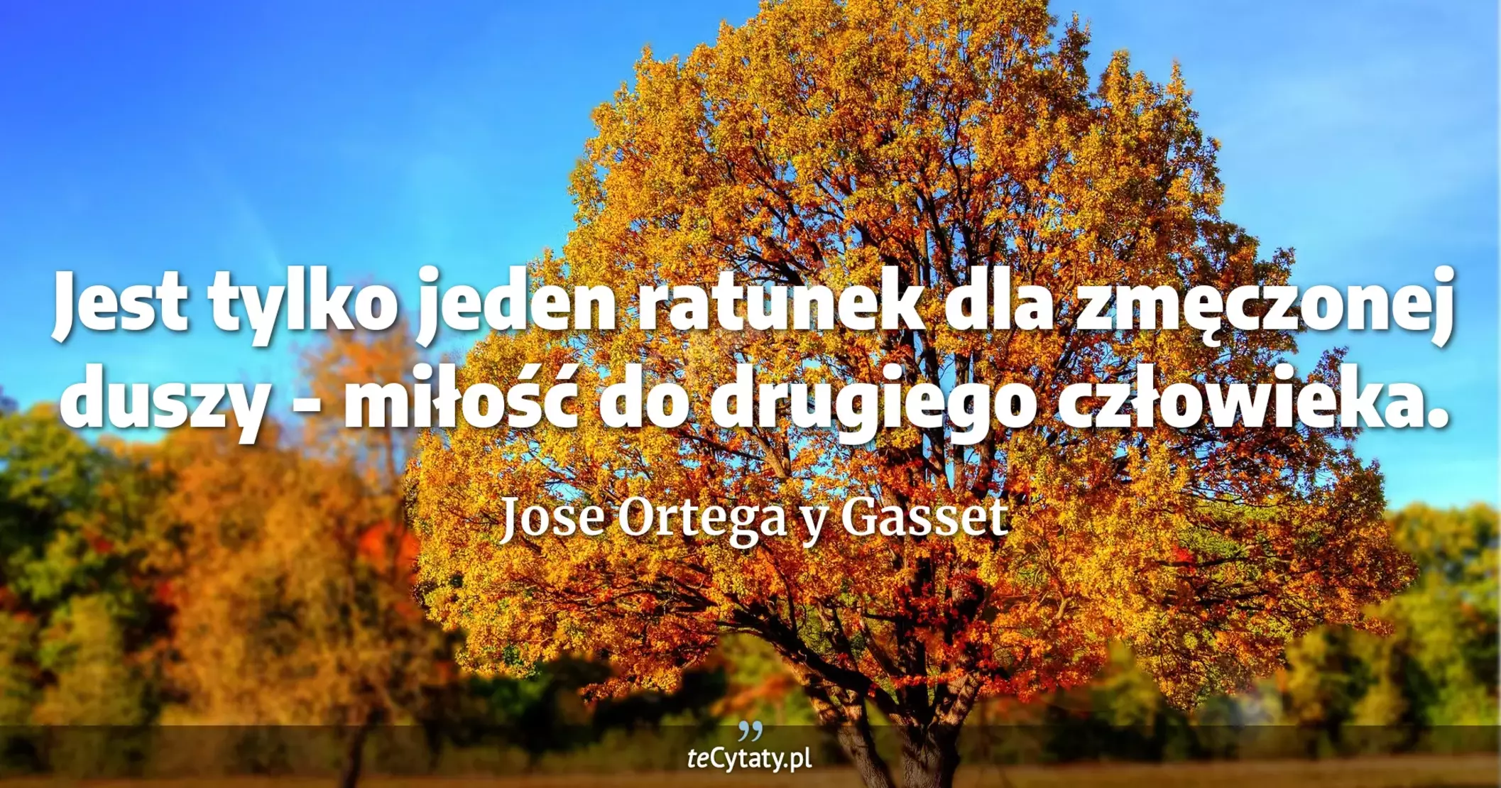 Jest tylko jeden ratunek dla zmęczonej duszy - miłość do drugiego człowieka. - Jose Ortega y Gasset