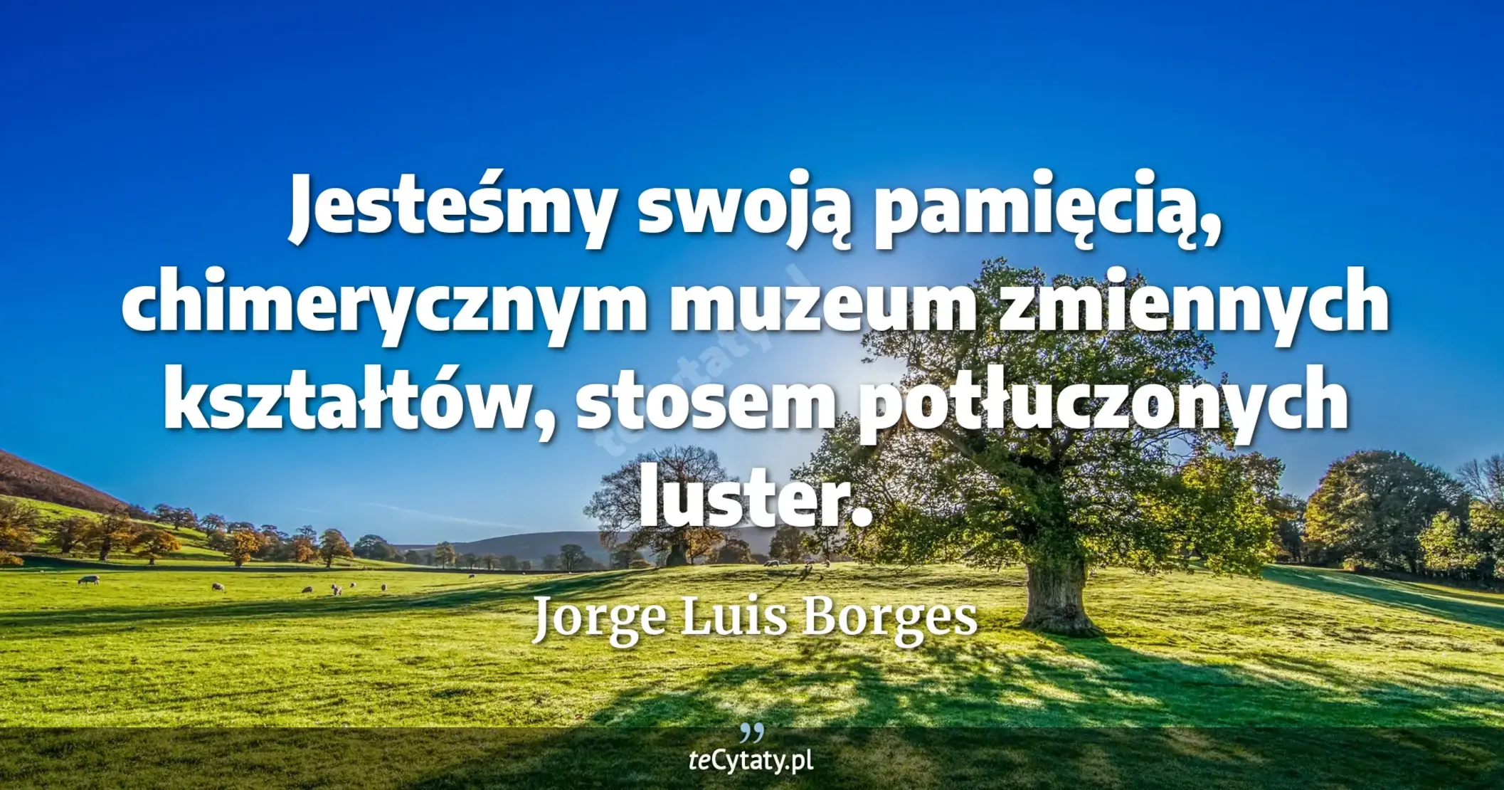 Jesteśmy swoją pamięcią, chimerycznym muzeum zmiennych kształtów, stosem potłuczonych luster. - Jorge Luis Borges