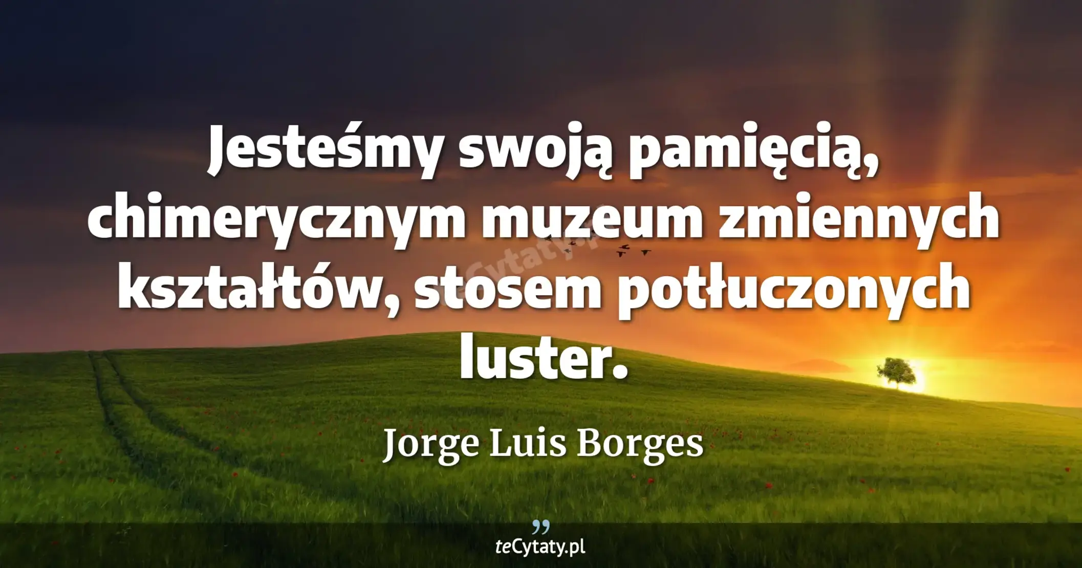 Jesteśmy swoją pamięcią, chimerycznym muzeum zmiennych kształtów, stosem potłuczonych luster. - Jorge Luis Borges