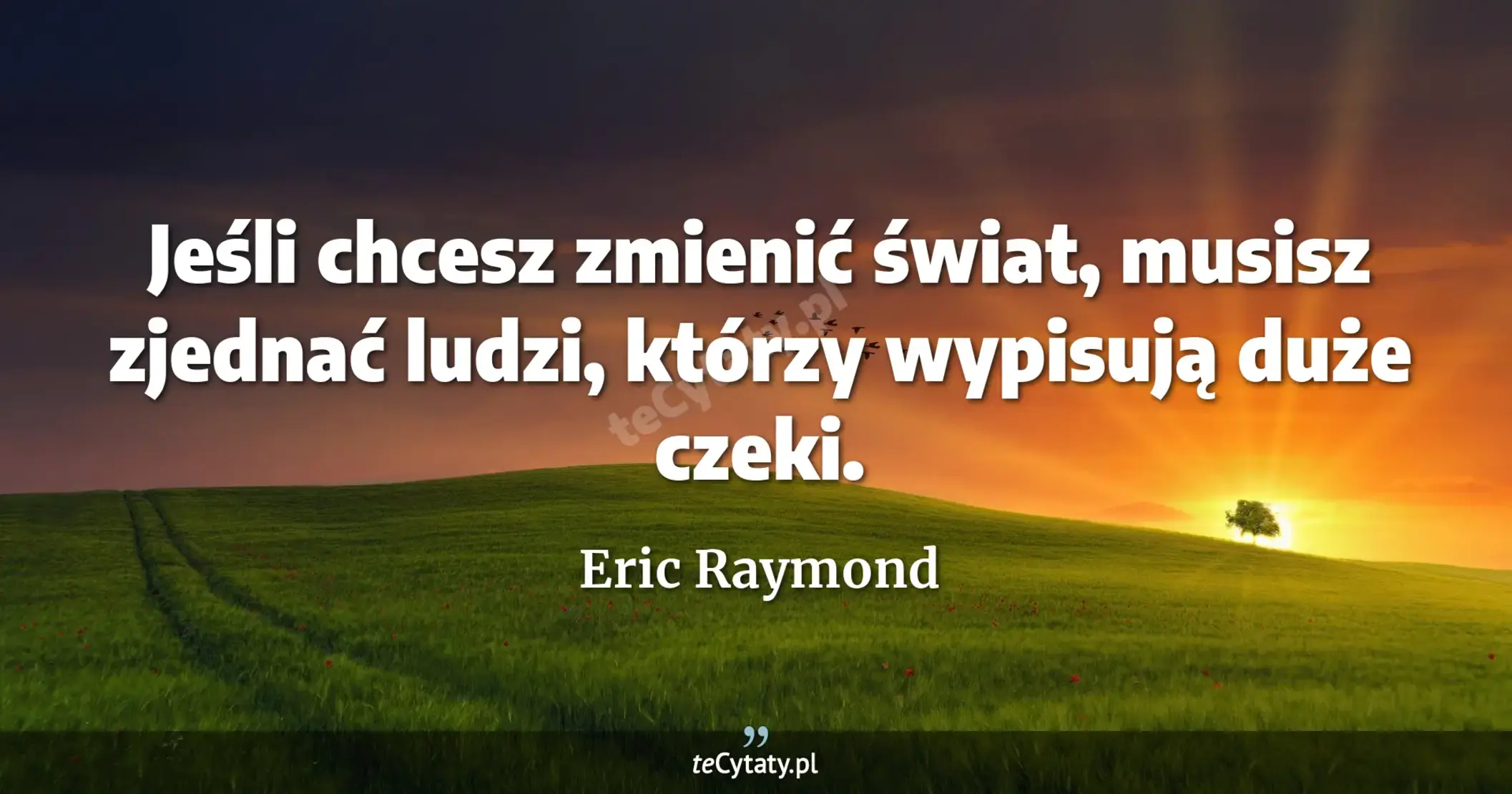 Jeśli chcesz zmienić świat, musisz zjednać ludzi, którzy wypisują duże czeki. - Eric Raymond