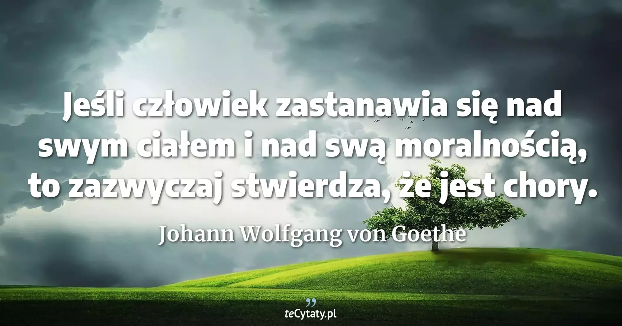 Jeśli człowiek zastanawia się nad swym ciałem i nad swą moralnością, to zazwyczaj stwierdza, że jest chory. - Johann Wolfgang von Goethe