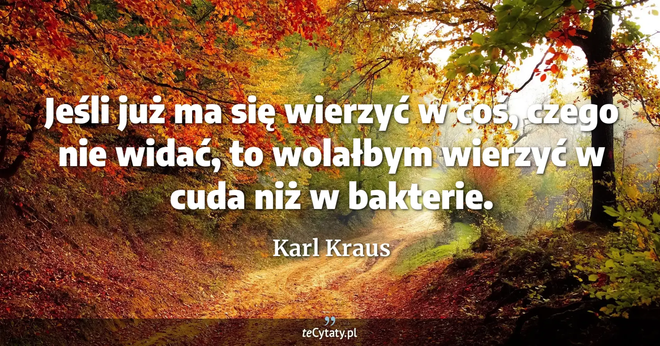 Jeśli już ma się wierzyć w coś, czego nie widać, to wolałbym wierzyć w cuda niż w bakterie. - Karl Kraus