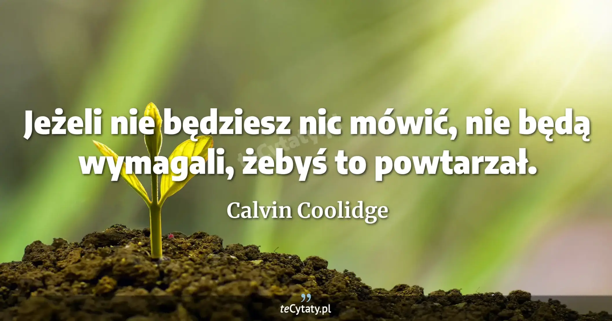 Jeżeli nie będziesz nic mówić, nie będą wymagali, żebyś to powtarzał. - Calvin Coolidge