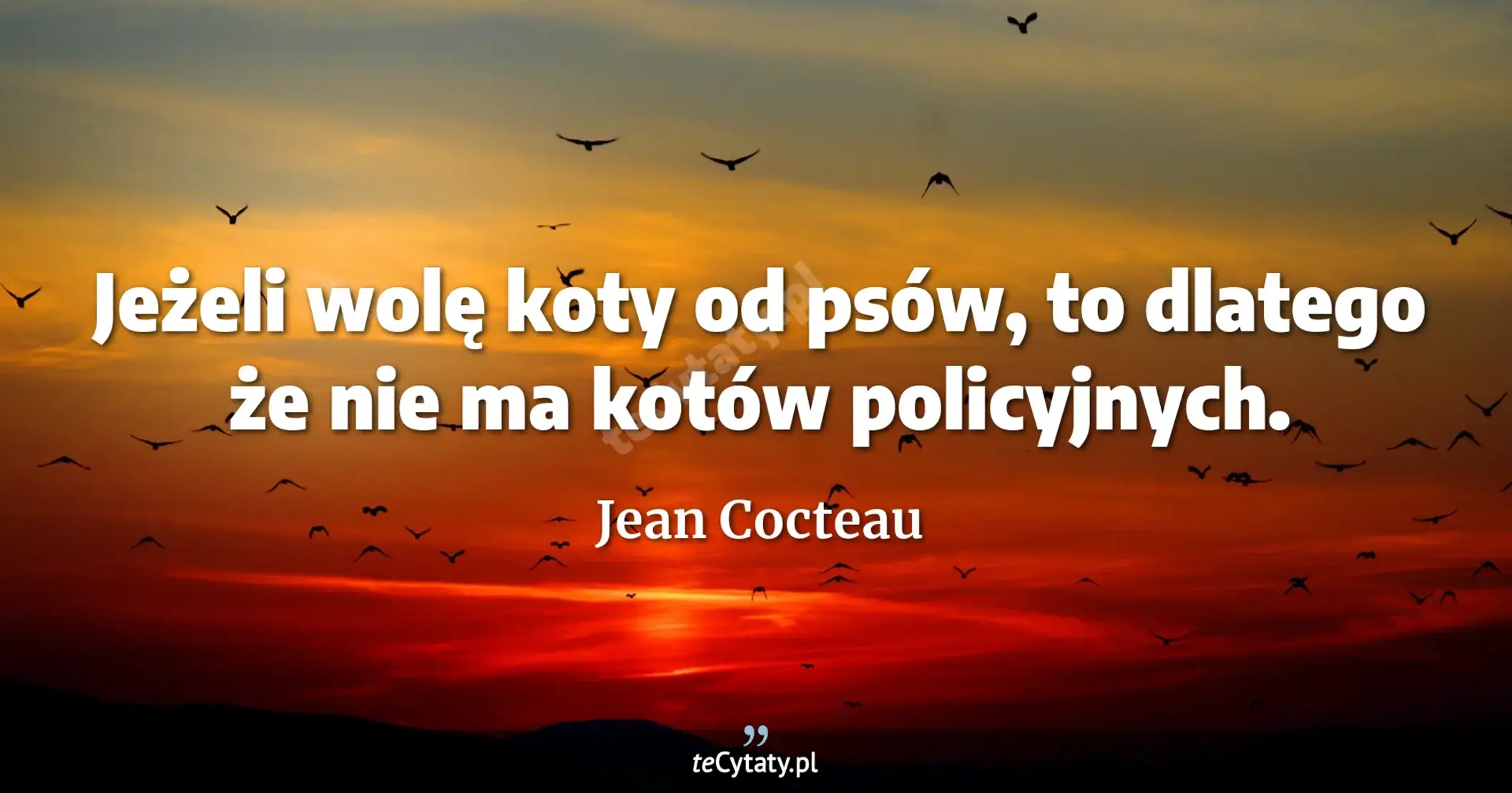 Jeżeli wolę koty od psów, to dlatego że nie ma kotów policyjnych. - Jean Cocteau