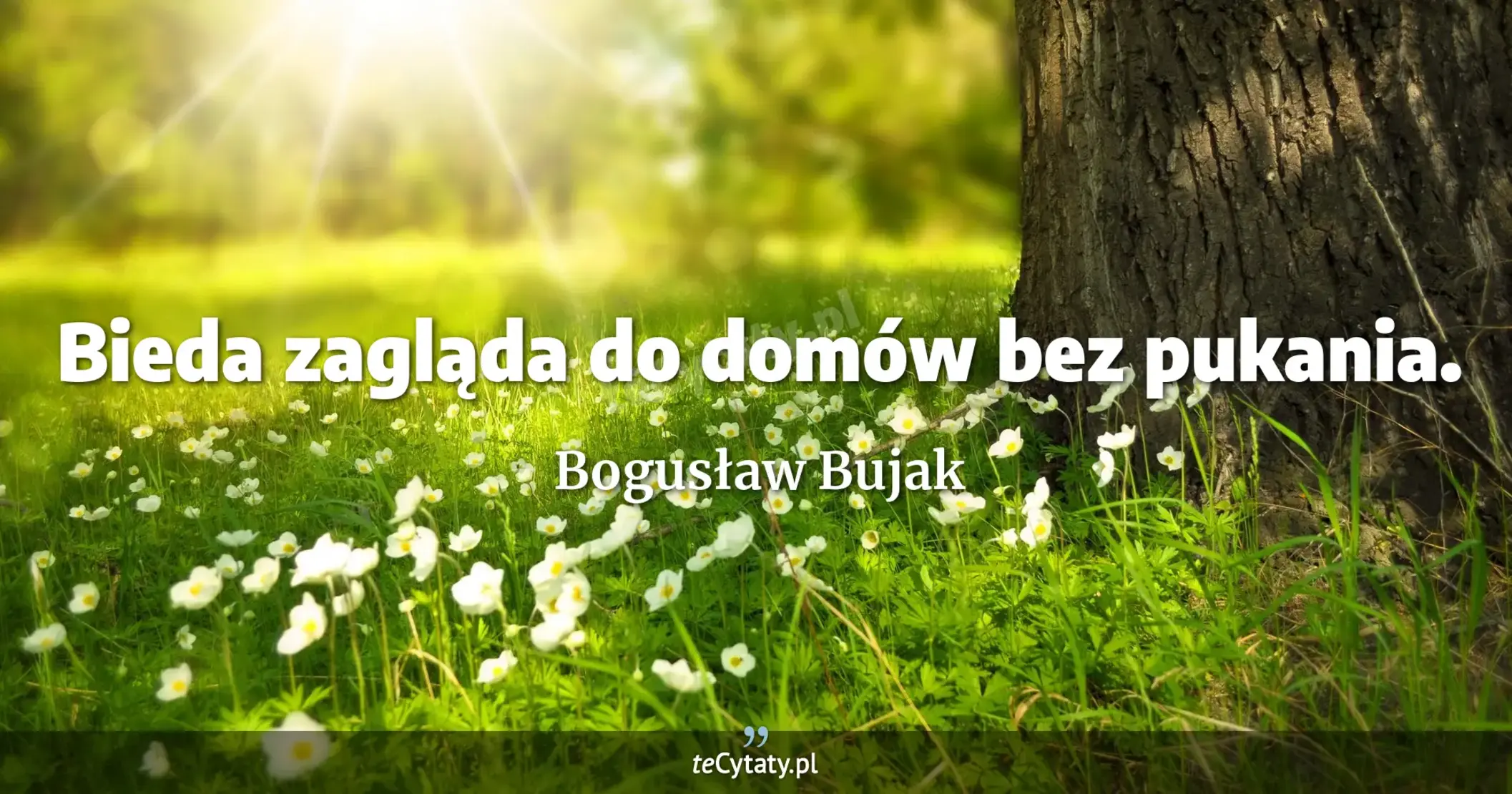 Bieda zagląda do domów bez pukania. - Bogusław Bujak