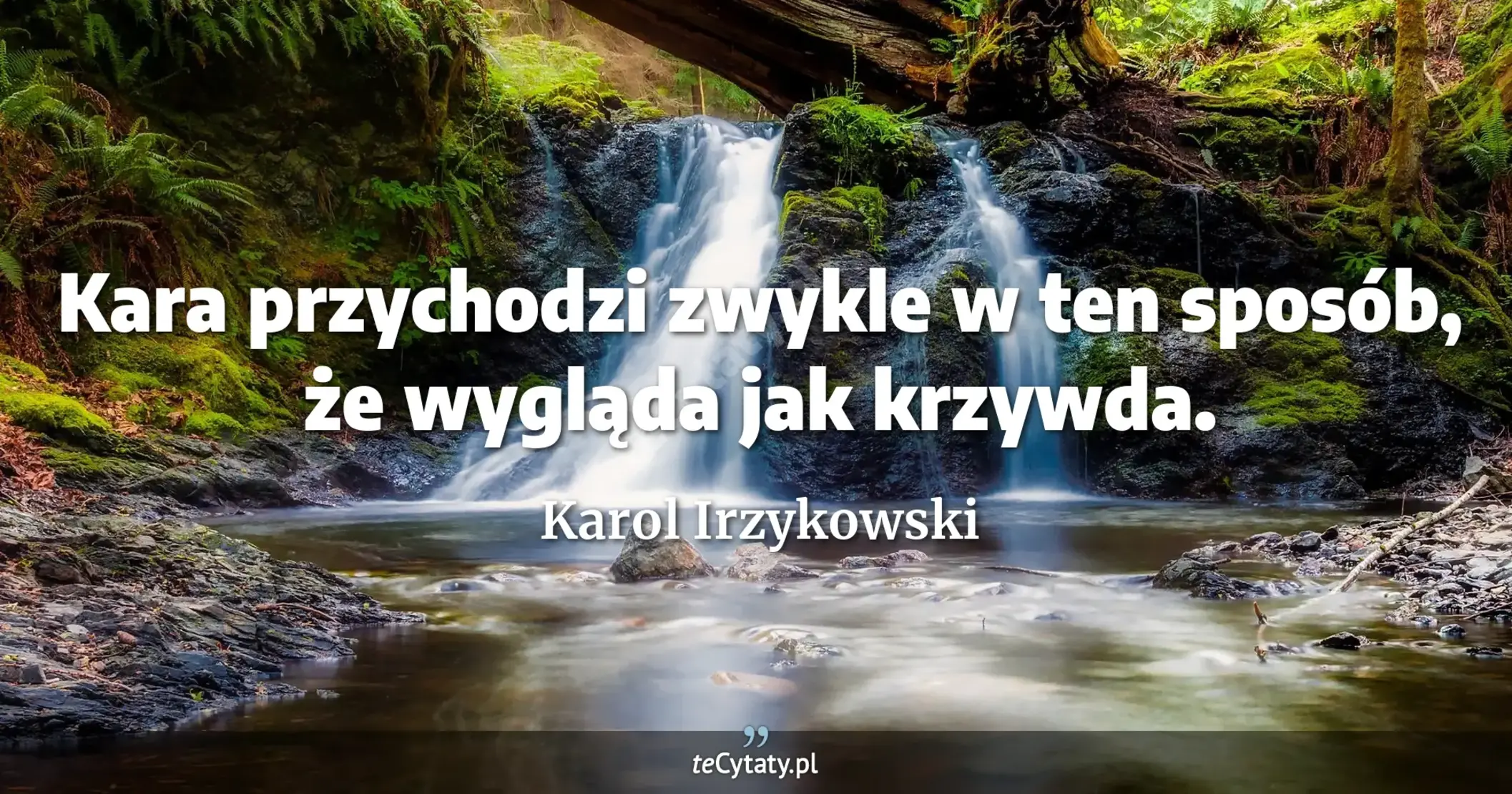 Kara przychodzi zwykle w ten sposób, że wygląda jak krzywda. - Karol Irzykowski