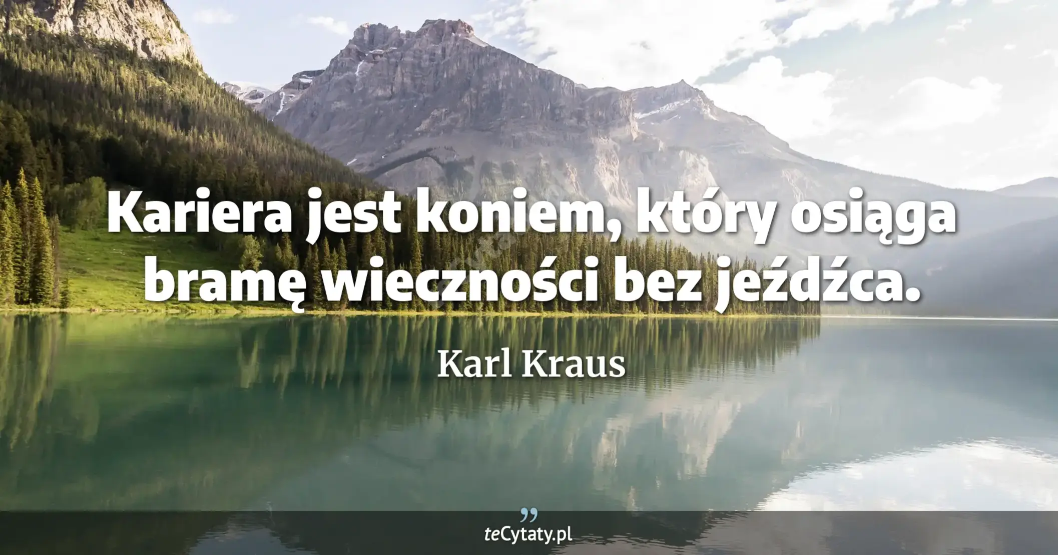 Kariera jest koniem, który osiąga bramę wieczności bez jeźdźca. - Karl Kraus
