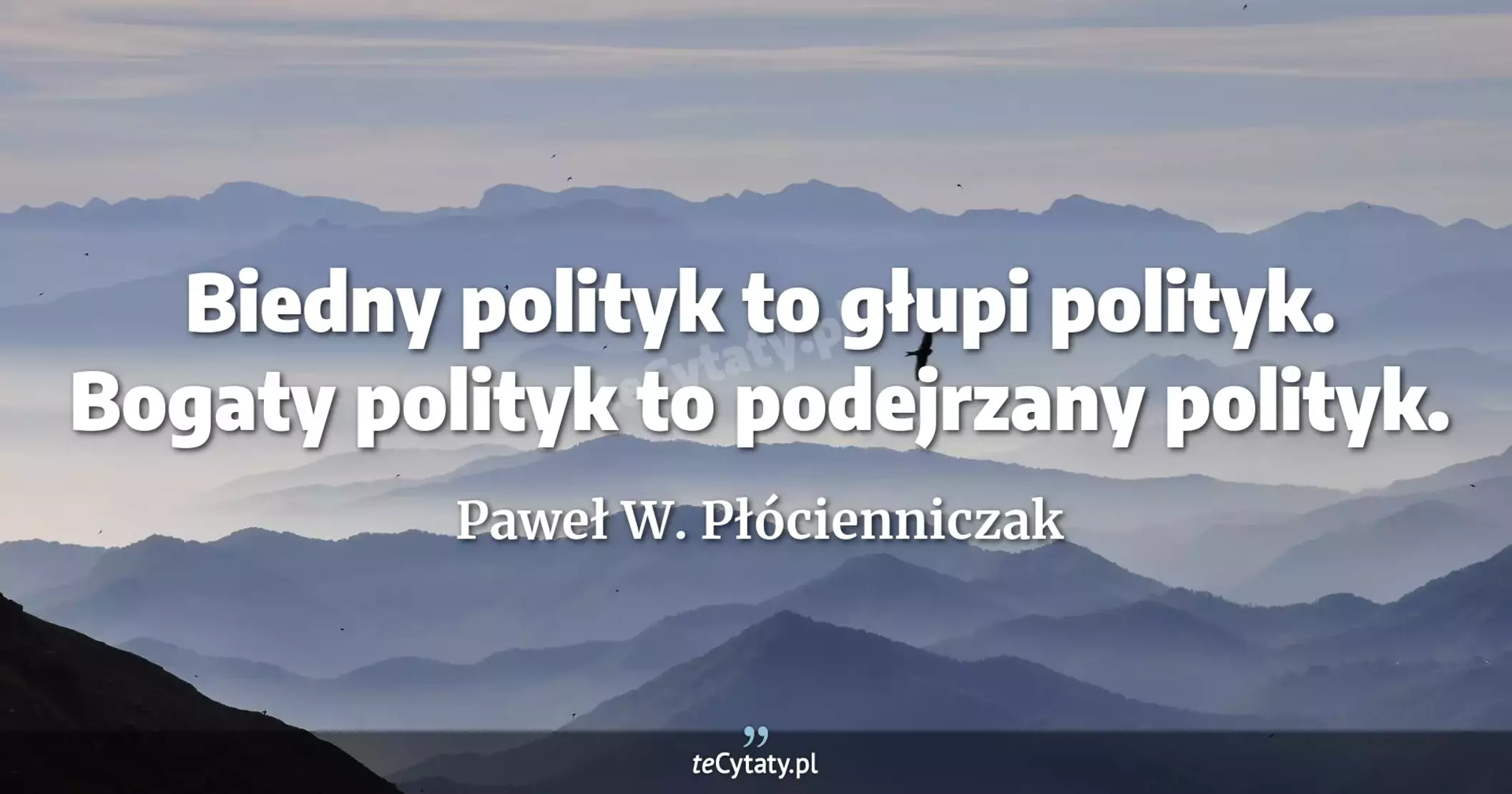Biedny polityk to głupi polityk. Bogaty polityk to podejrzany polityk. - Paweł W. Płócienniczak