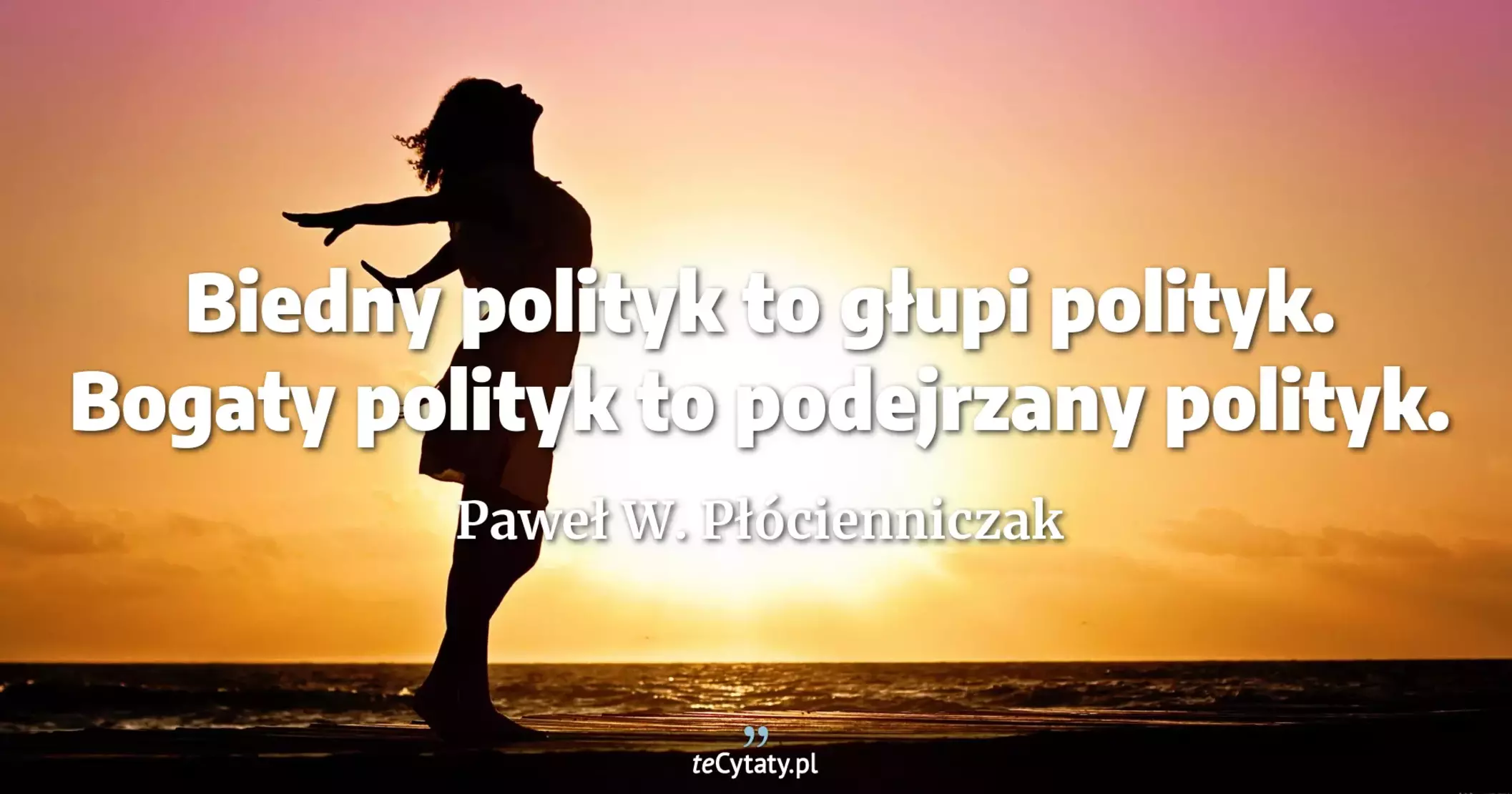 Biedny polityk to głupi polityk. Bogaty polityk to podejrzany polityk. - Paweł W. Płócienniczak