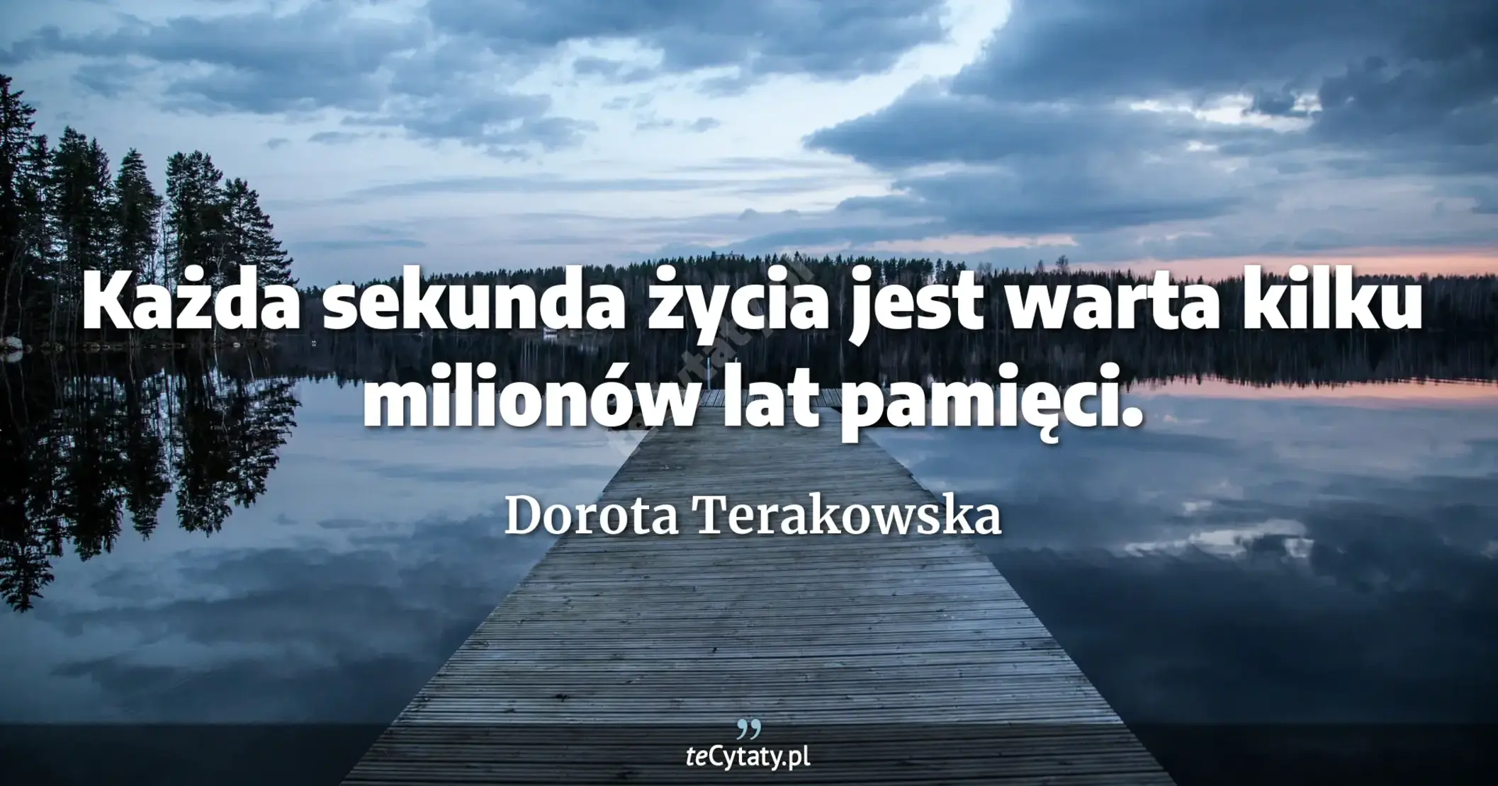 Każda sekunda życia jest warta kilku milionów lat pamięci. - Dorota Terakowska