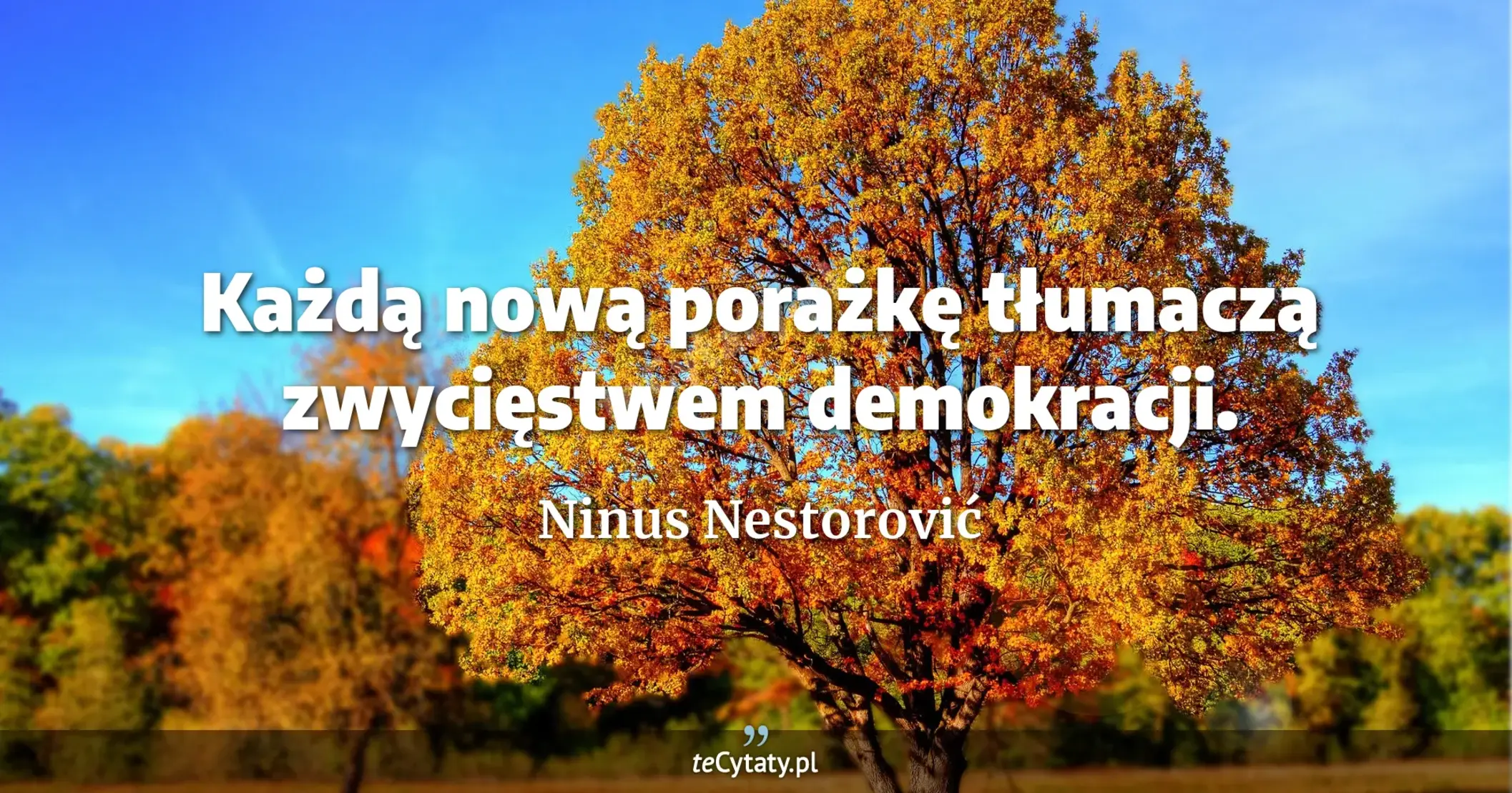 Każdą nową porażkę tłumaczą zwycięstwem demokracji. - Ninus Nestorović