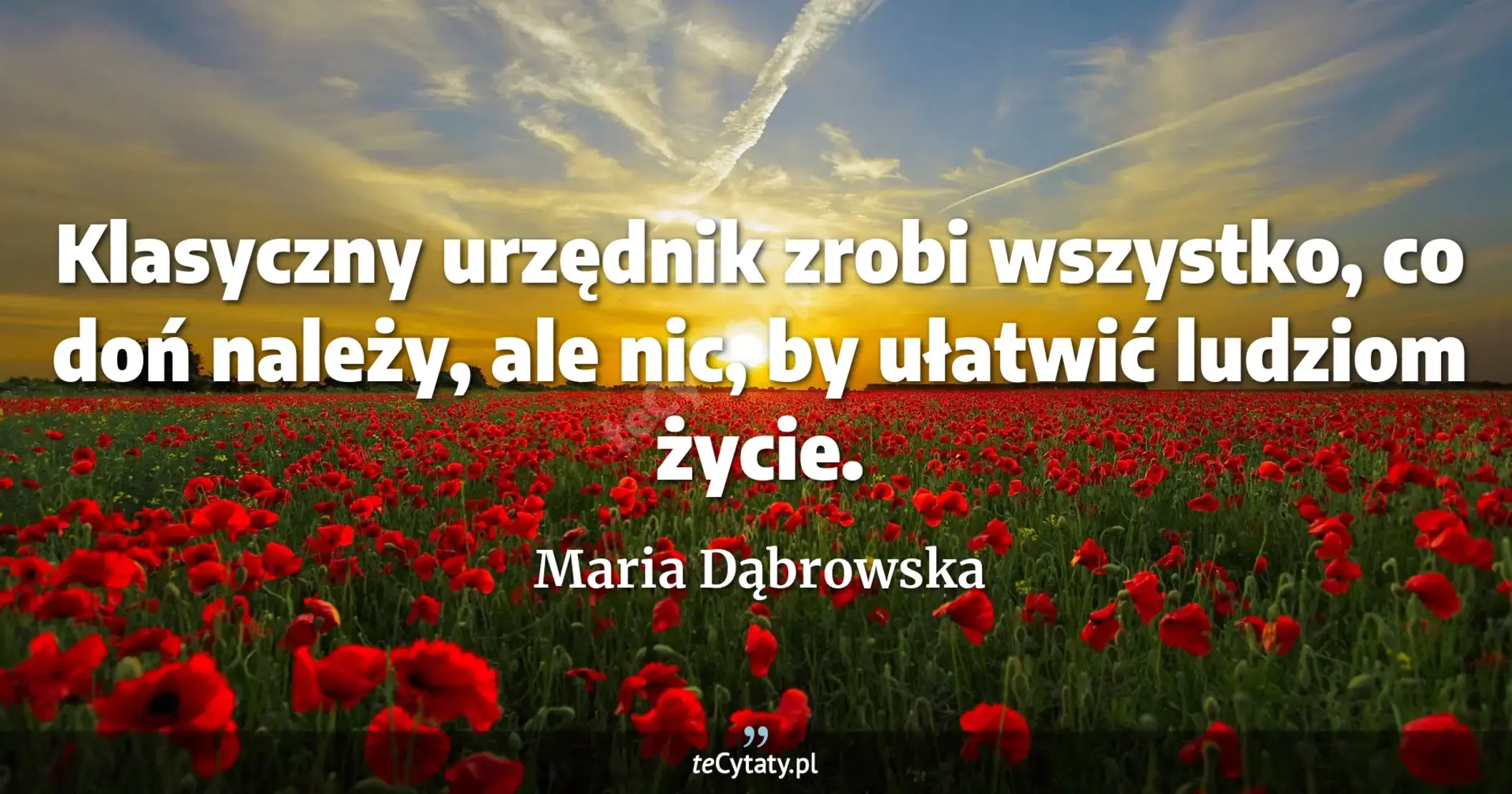 Klasyczny urzędnik zrobi wszystko, co doń należy, ale nic, by ułatwić ludziom życie. - Maria Dąbrowska
