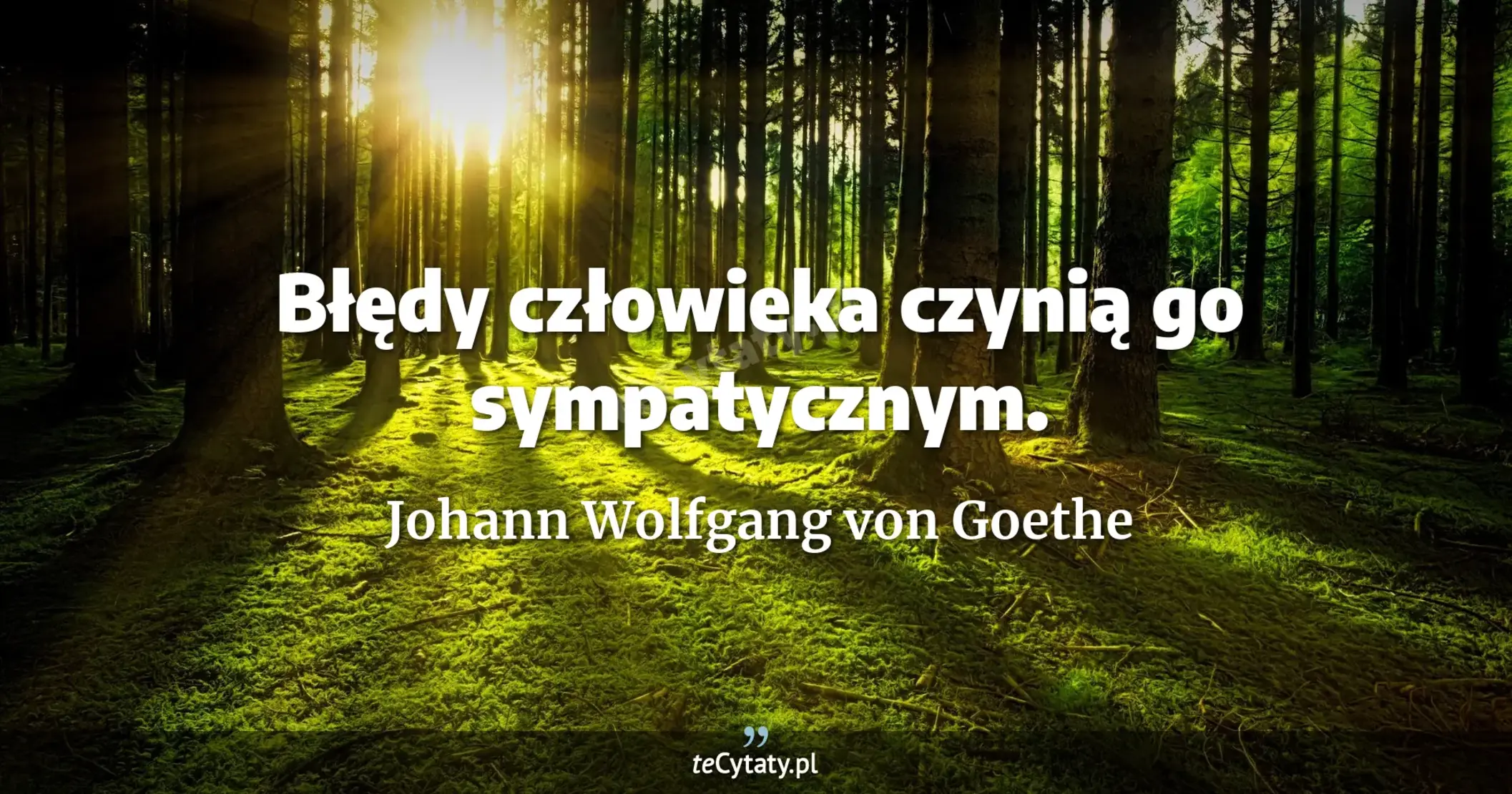 Błędy człowieka czynią go sympatycznym. - Johann Wolfgang von Goethe