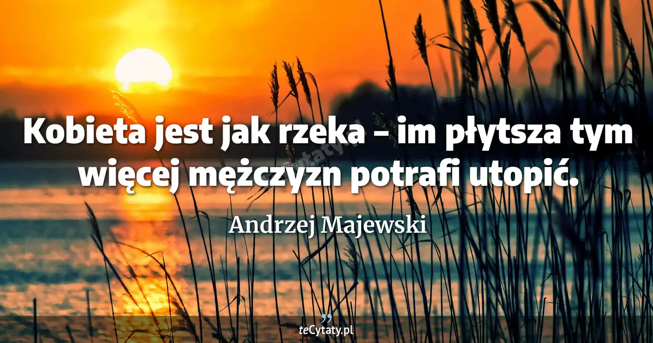 Kobieta jest jak rzeka – im płytsza tym więcej mężczyzn potrafi utopić. - Andrzej Majewski