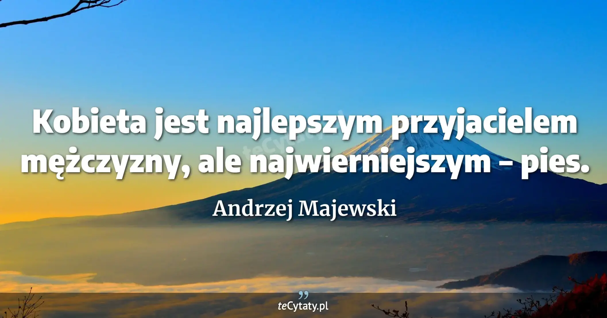 Kobieta jest najlepszym przyjacielem mężczyzny, ale najwierniejszym – pies. - Andrzej Majewski