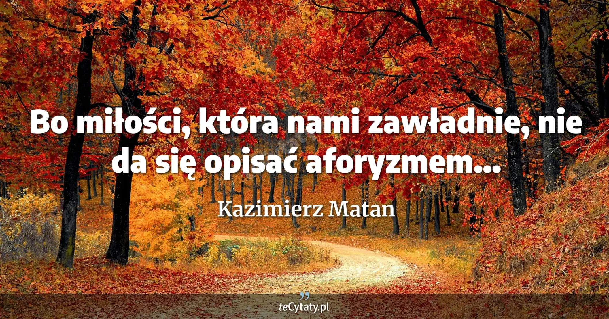 Bo miłości, która nami zawładnie, nie da się opisać aforyzmem... - Kazimierz Matan