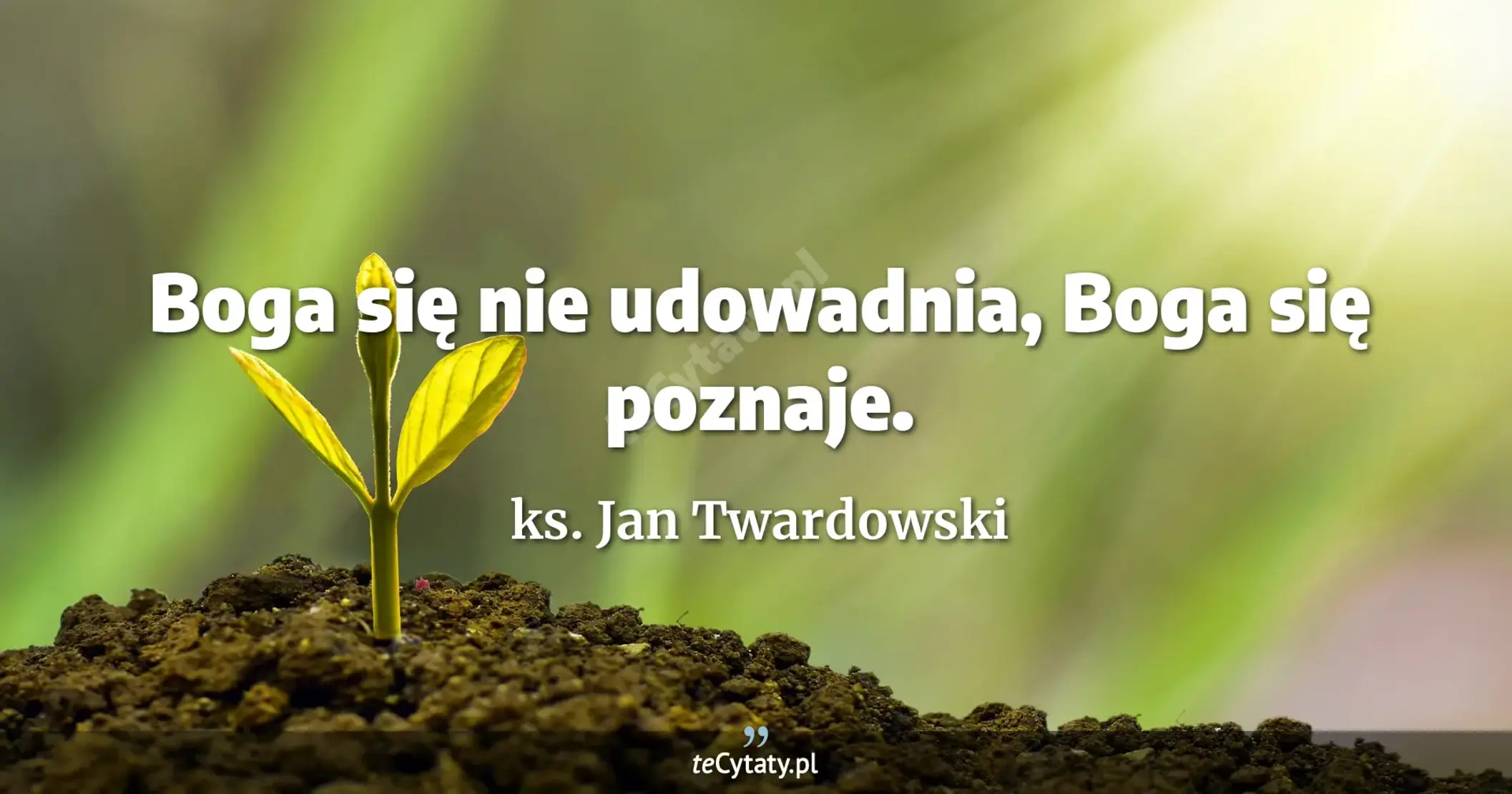 Boga się nie udowadnia, Boga się poznaje. - ks. Jan Twardowski
