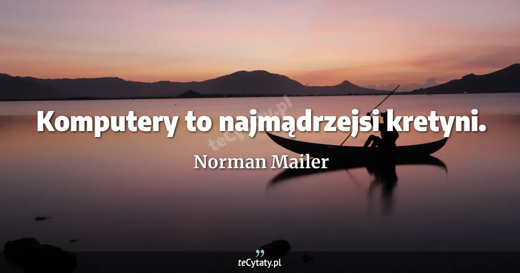 Komputery to najmądrzejsi kretyni. - Norman Mailer