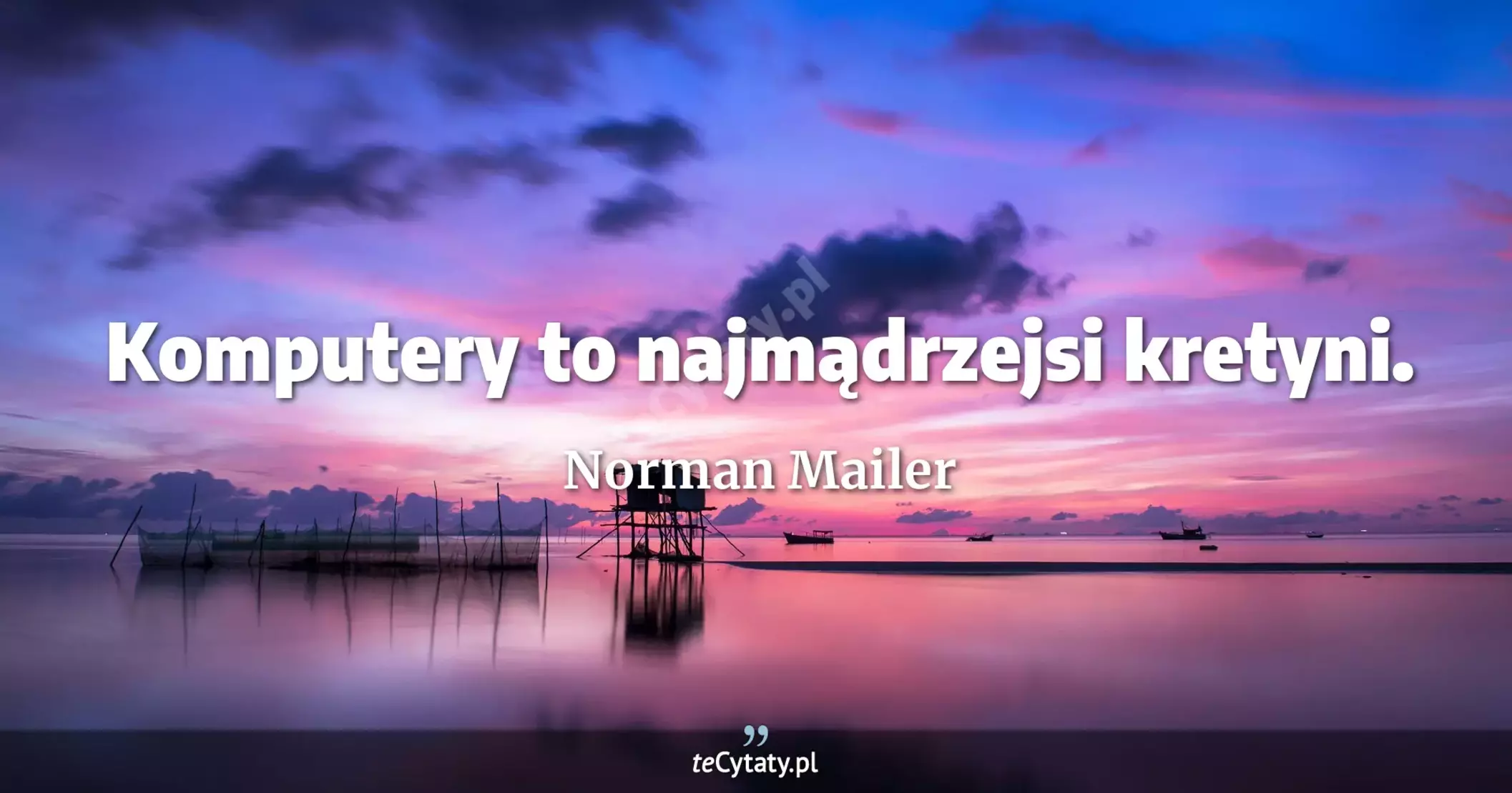 Komputery to najmądrzejsi kretyni. - Norman Mailer