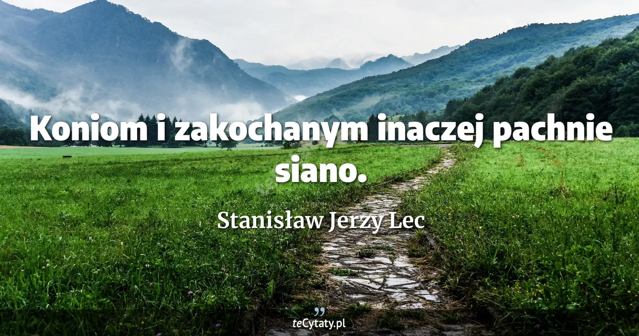 Koniom i zakochanym inaczej pachnie siano. - Stanisław Jerzy Lec