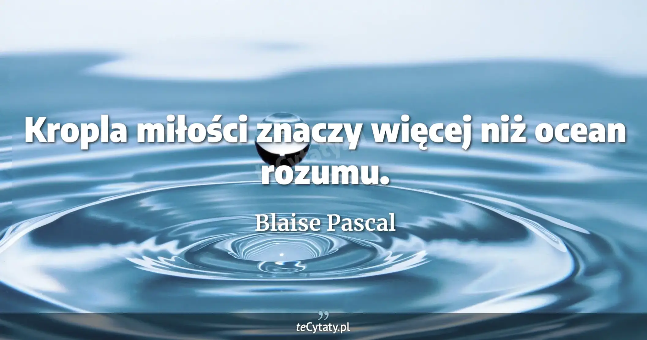 Kropla miłości znaczy więcej niż ocean rozumu. - Blaise Pascal