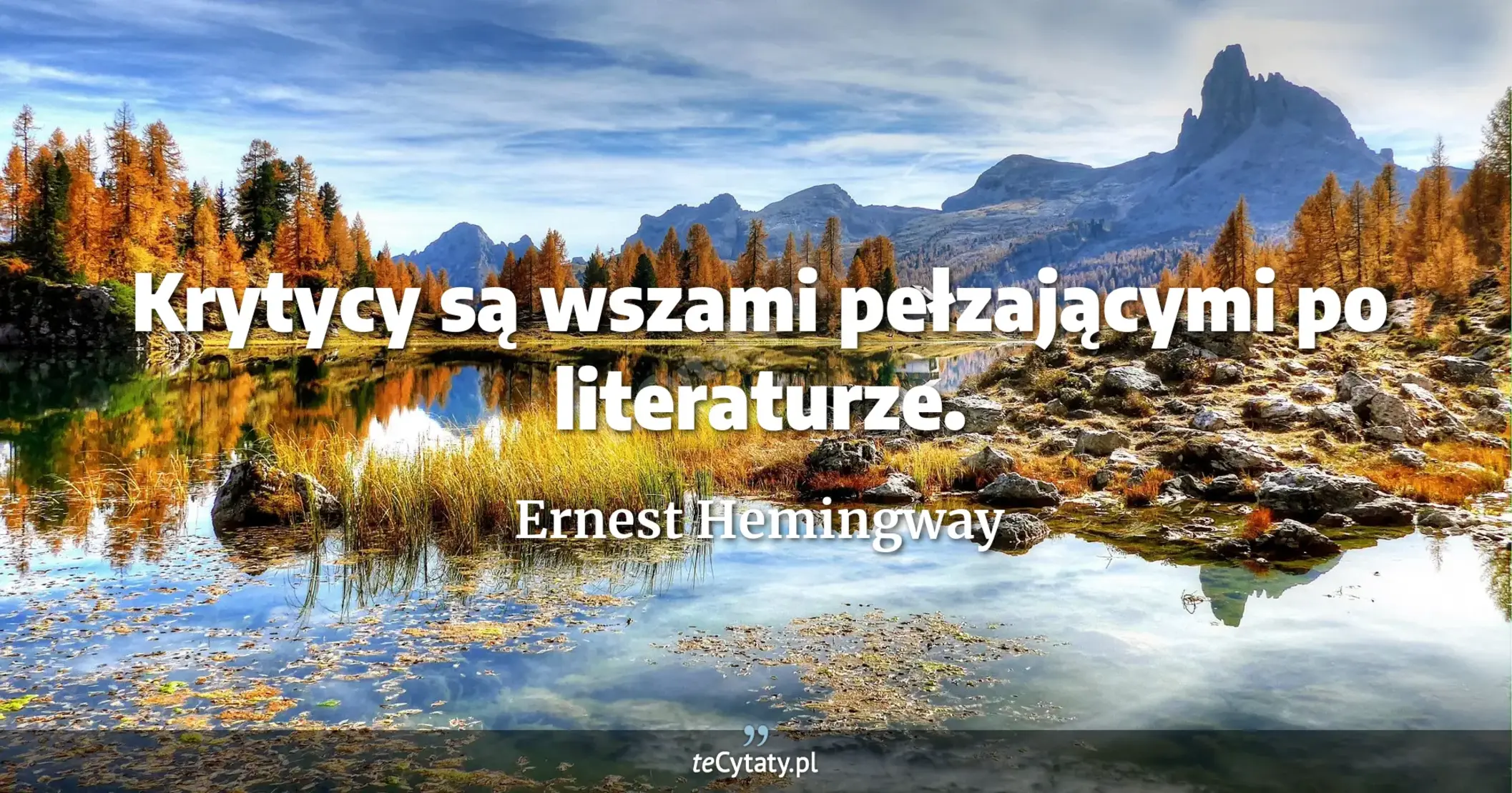 Krytycy są wszami pełzającymi po literaturze. - Ernest Hemingway