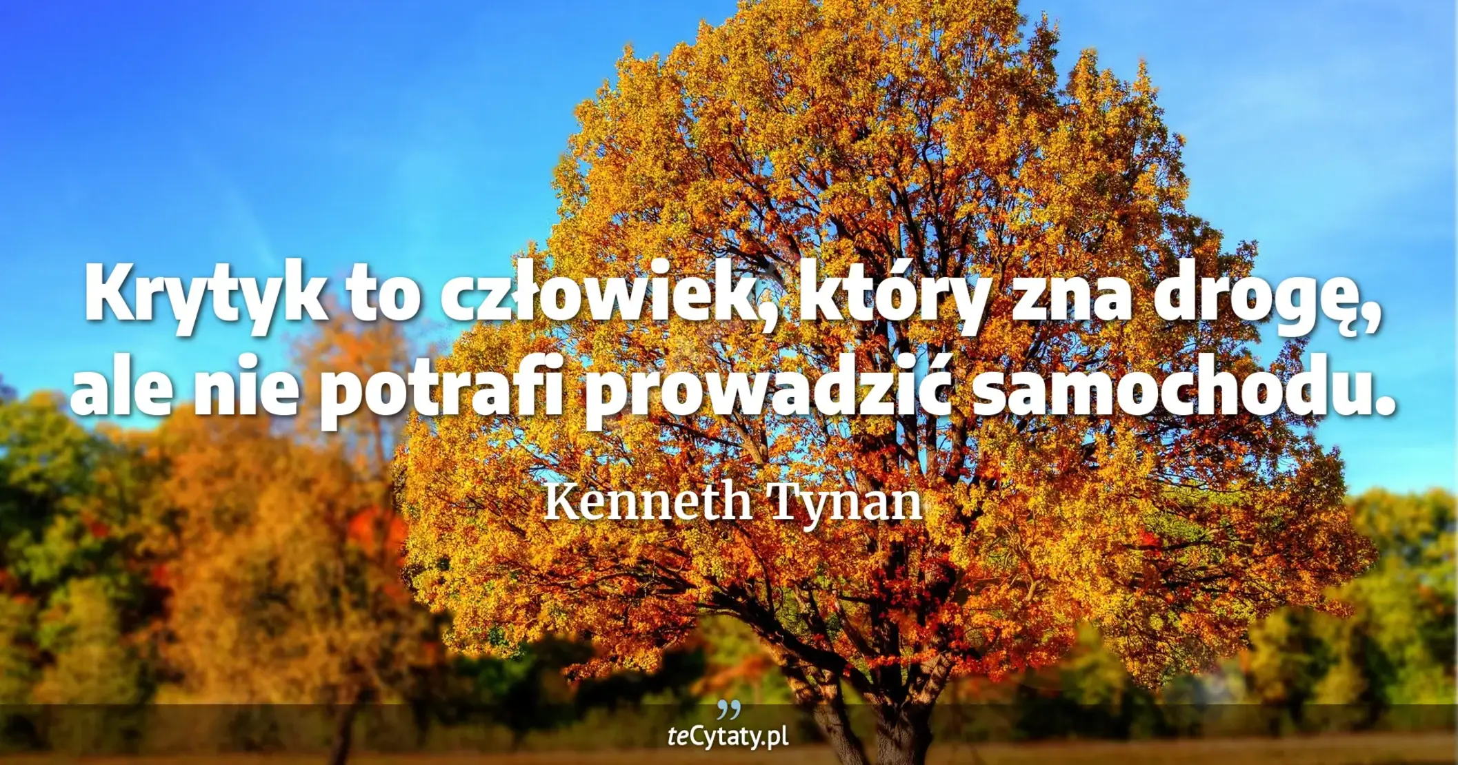 Krytyk to człowiek, który zna drogę, ale nie potrafi prowadzić samochodu. - Kenneth Tynan