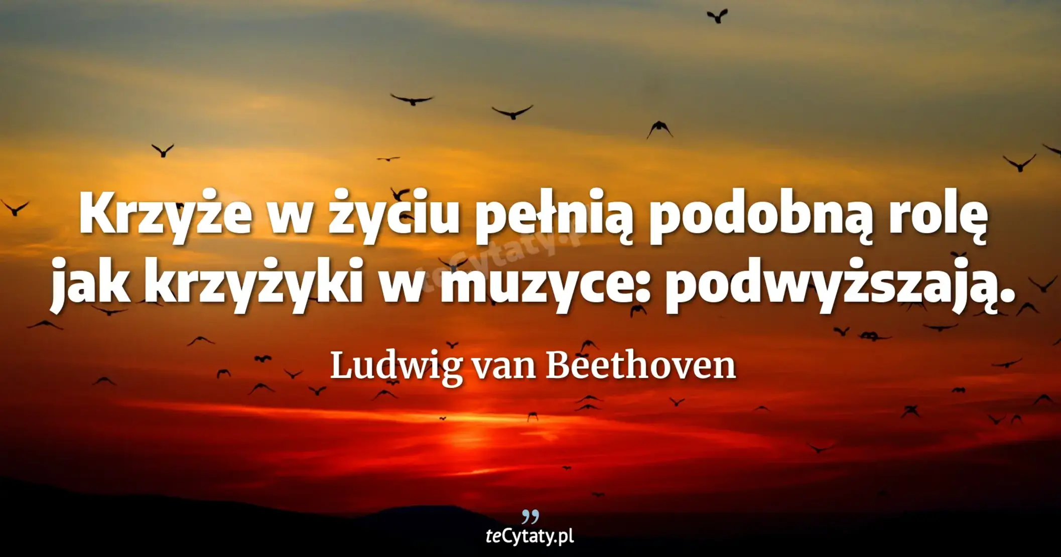 Krzyże w życiu pełnią podobną rolę jak krzyżyki w muzyce: podwyższają. - Ludwig van Beethoven