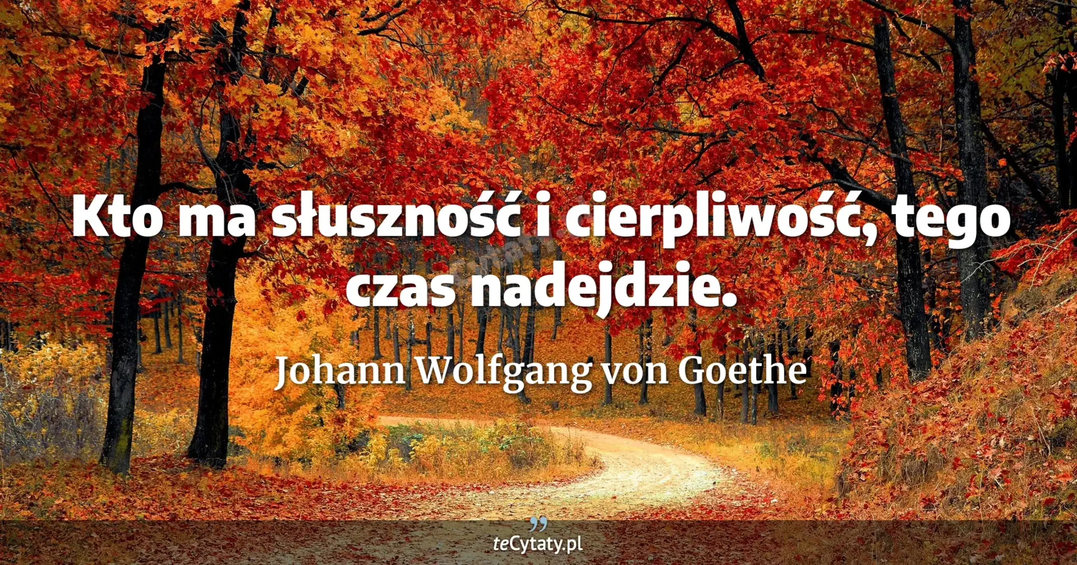 Kto ma słuszność i cierpliwość, tego czas nadejdzie. - Johann Wolfgang von Goethe