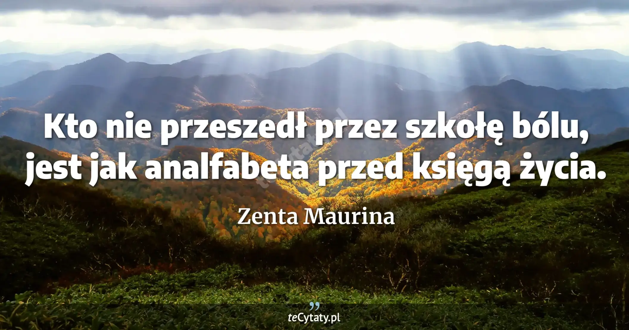 Kto nie przeszedł przez szkołę bólu, jest jak analfabeta przed księgą życia. - Zenta Maurina