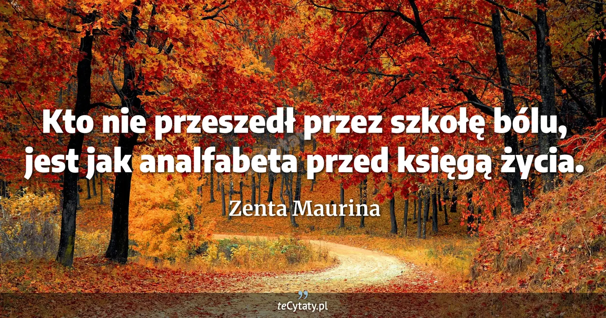 Kto nie przeszedł przez szkołę bólu, jest jak analfabeta przed księgą życia. - Zenta Maurina