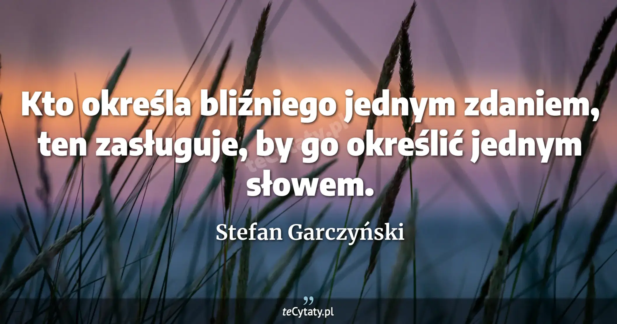 Kto określa bliźniego jednym zdaniem, ten zasługuje, by go określić jednym słowem. - Stefan Garczyński