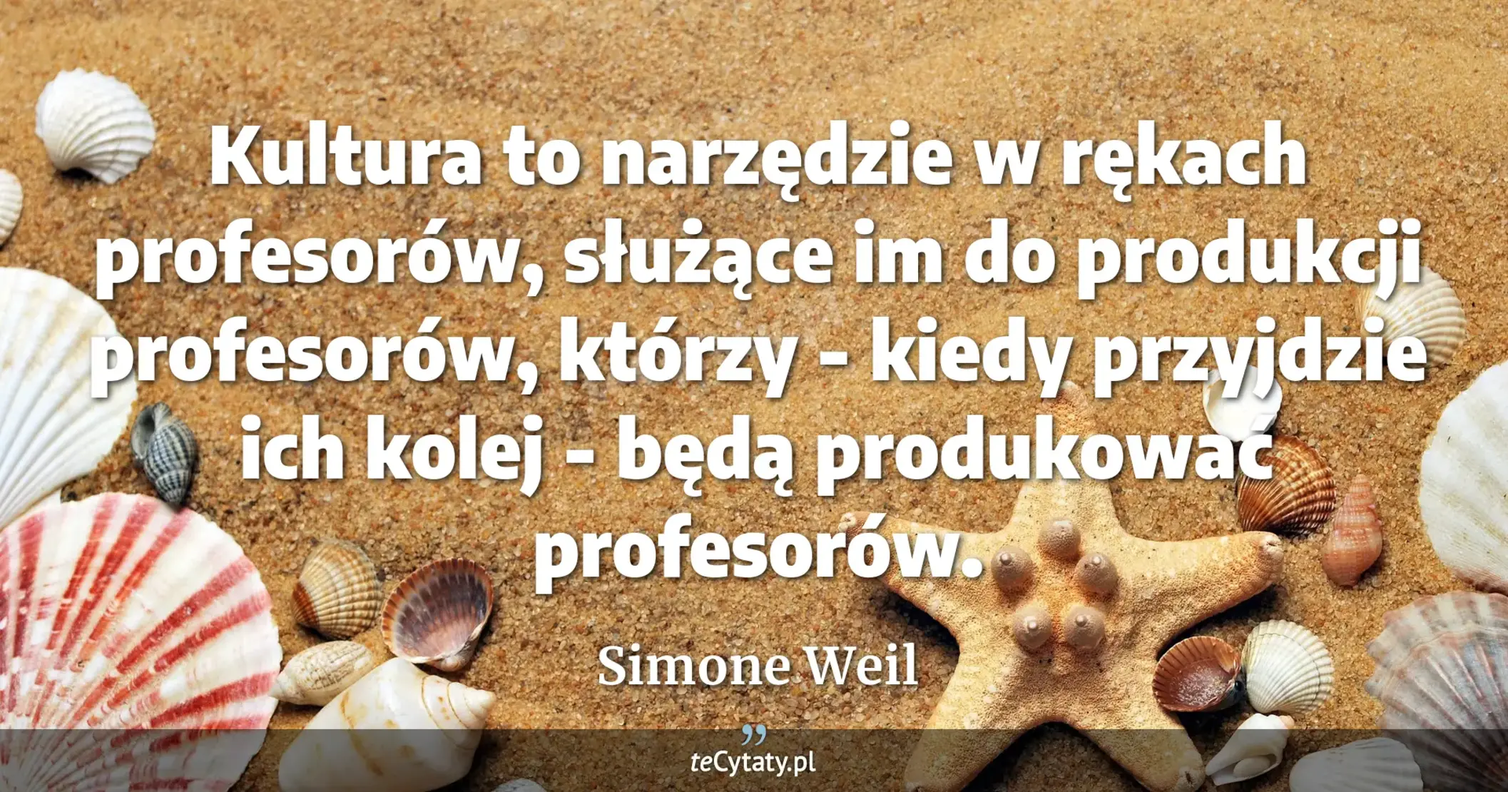 Kultura to narzędzie w rękach profesorów, służące im do produkcji profesorów, którzy - kiedy przyjdzie ich kolej - będą produkować profesorów. - Simone Weil