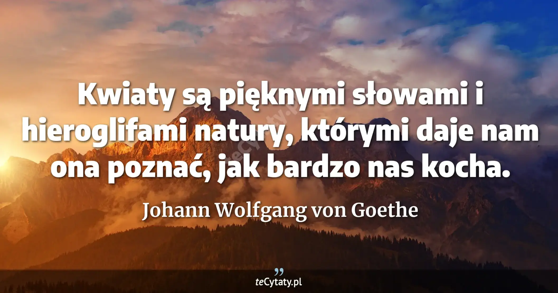 Kwiaty są pięknymi słowami i hieroglifami natury, którymi daje nam ona poznać, jak bardzo nas kocha. - Johann Wolfgang von Goethe
