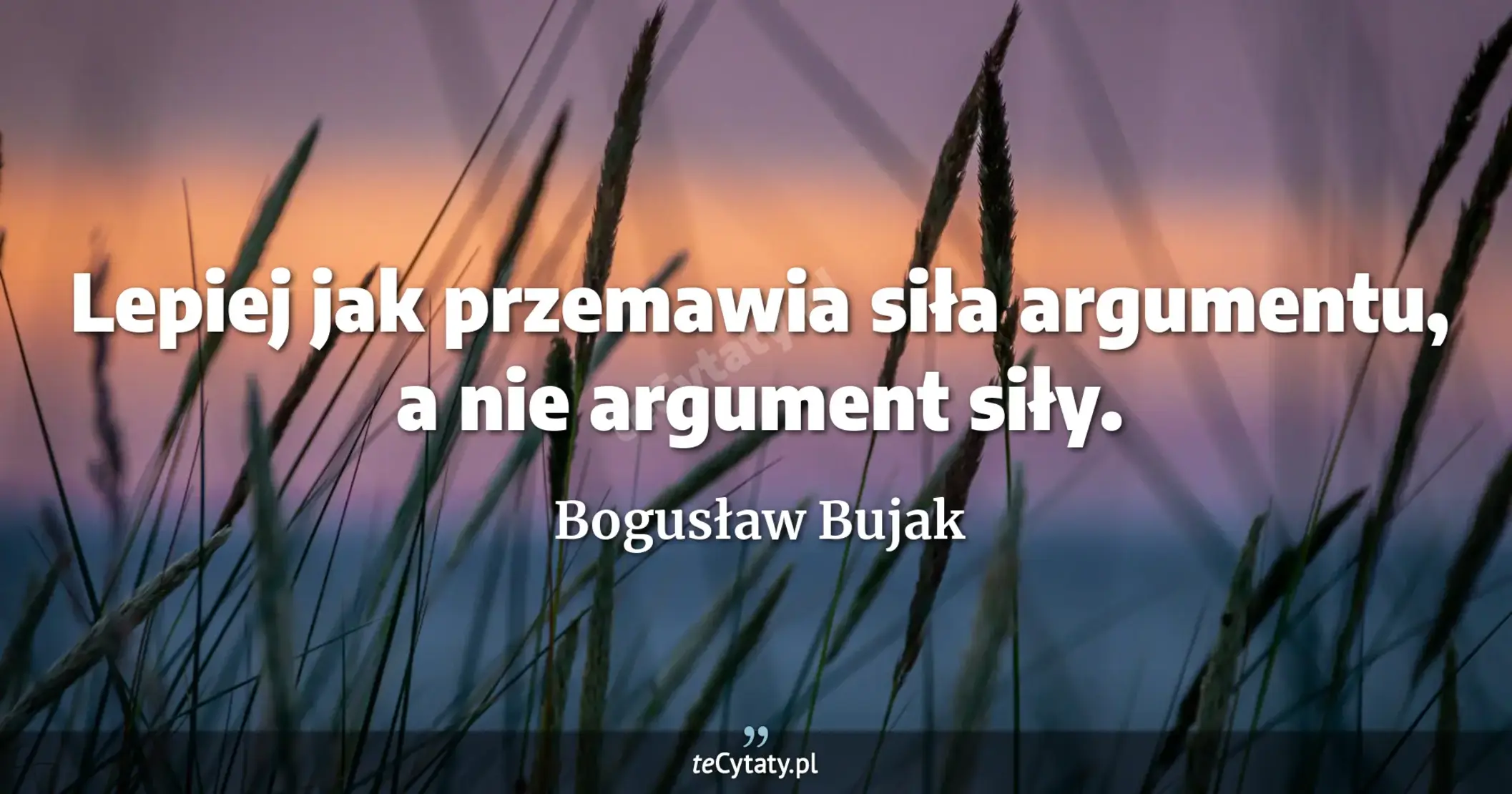 Lepiej jak przemawia siła argumentu, a nie argument siły. - Bogusław Bujak